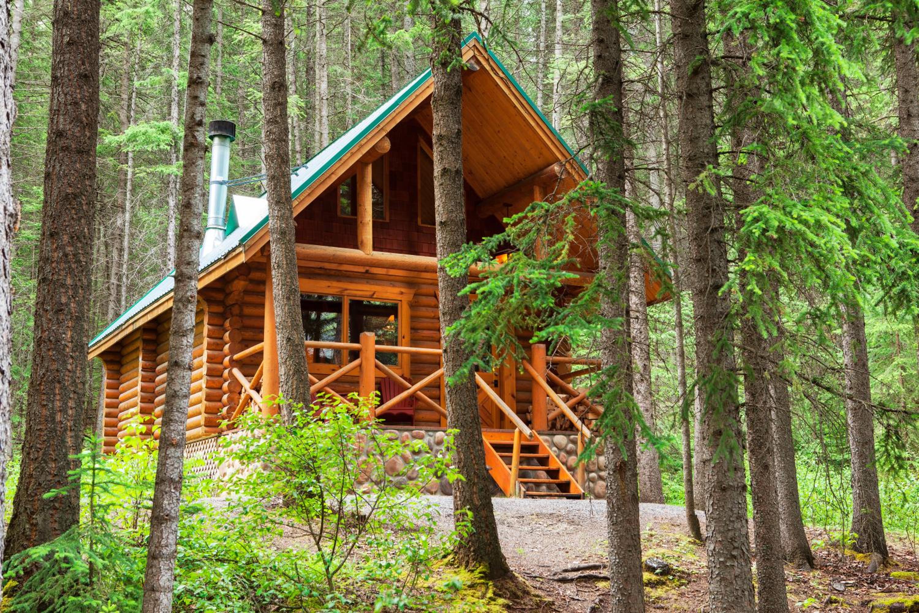 Premier Cabin with Loft photo 2