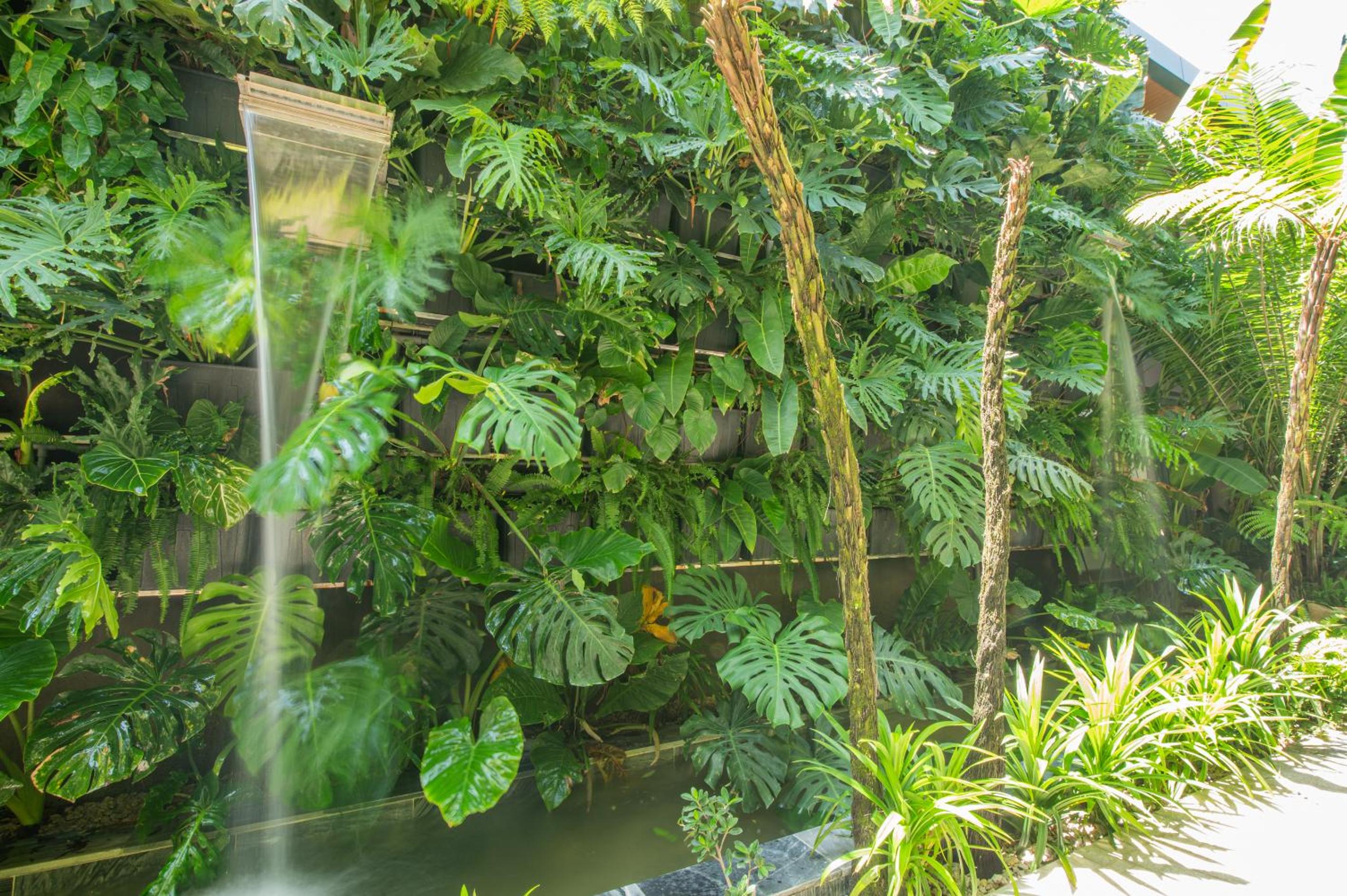 Double Room with Garden View photo 1