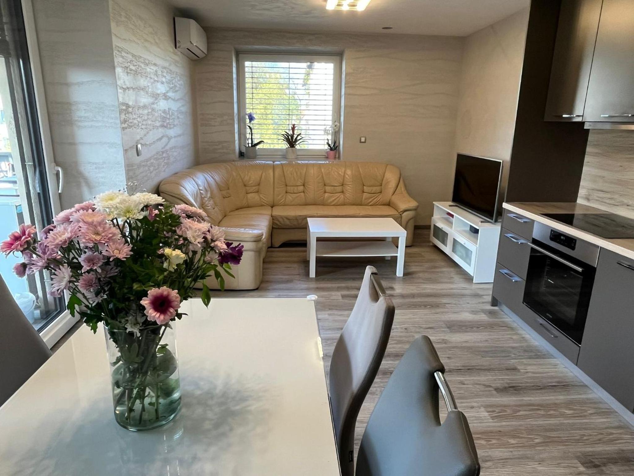 Two-Bedroom Apartment with Terrace