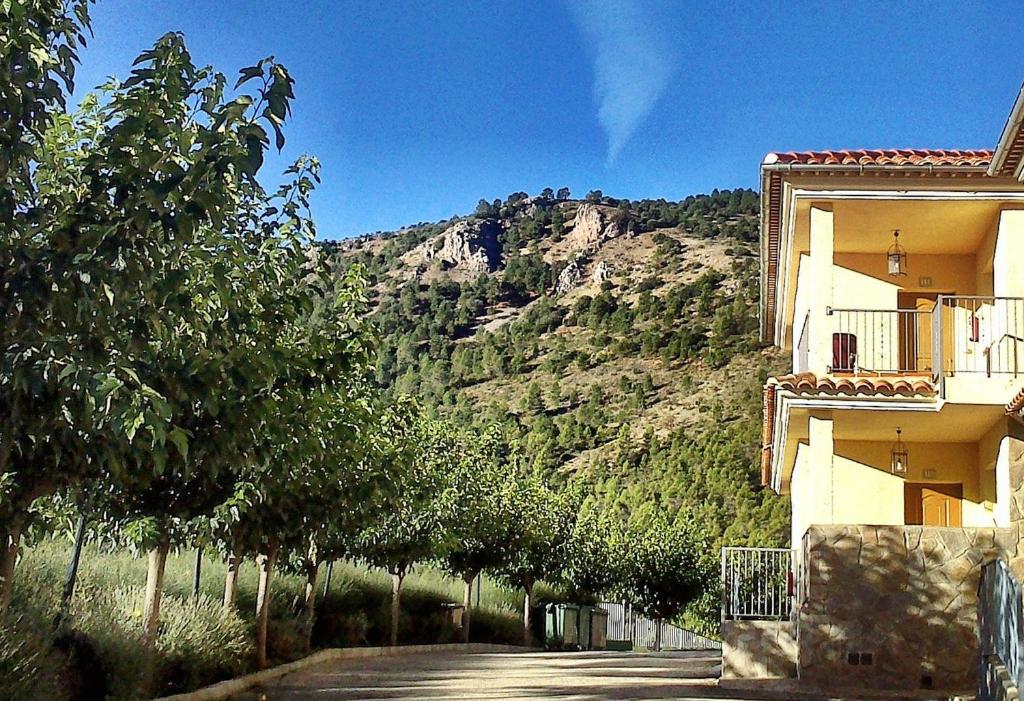 Apartment with Mountain View - Photo 25