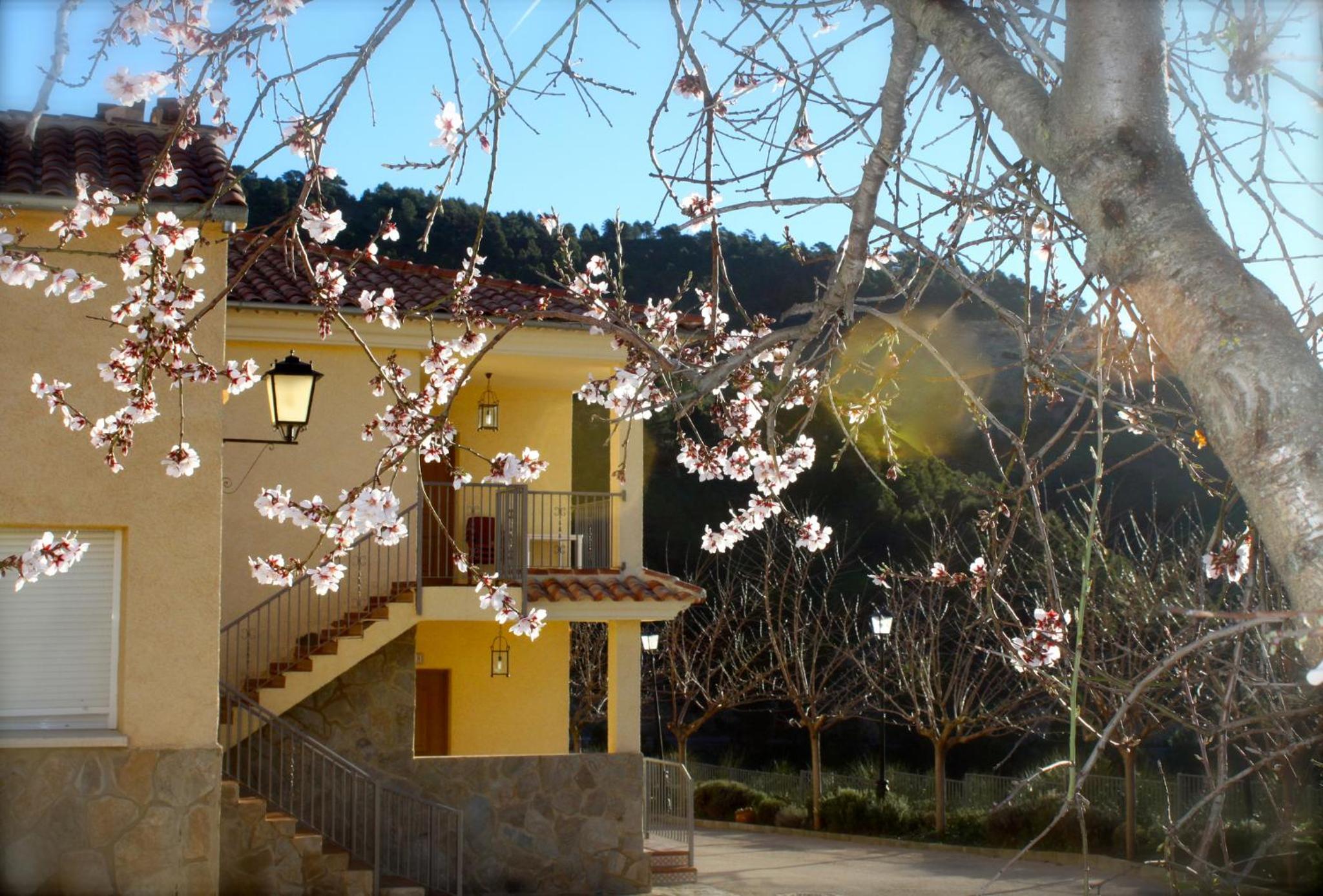 Apartment with Mountain View - Photo 18