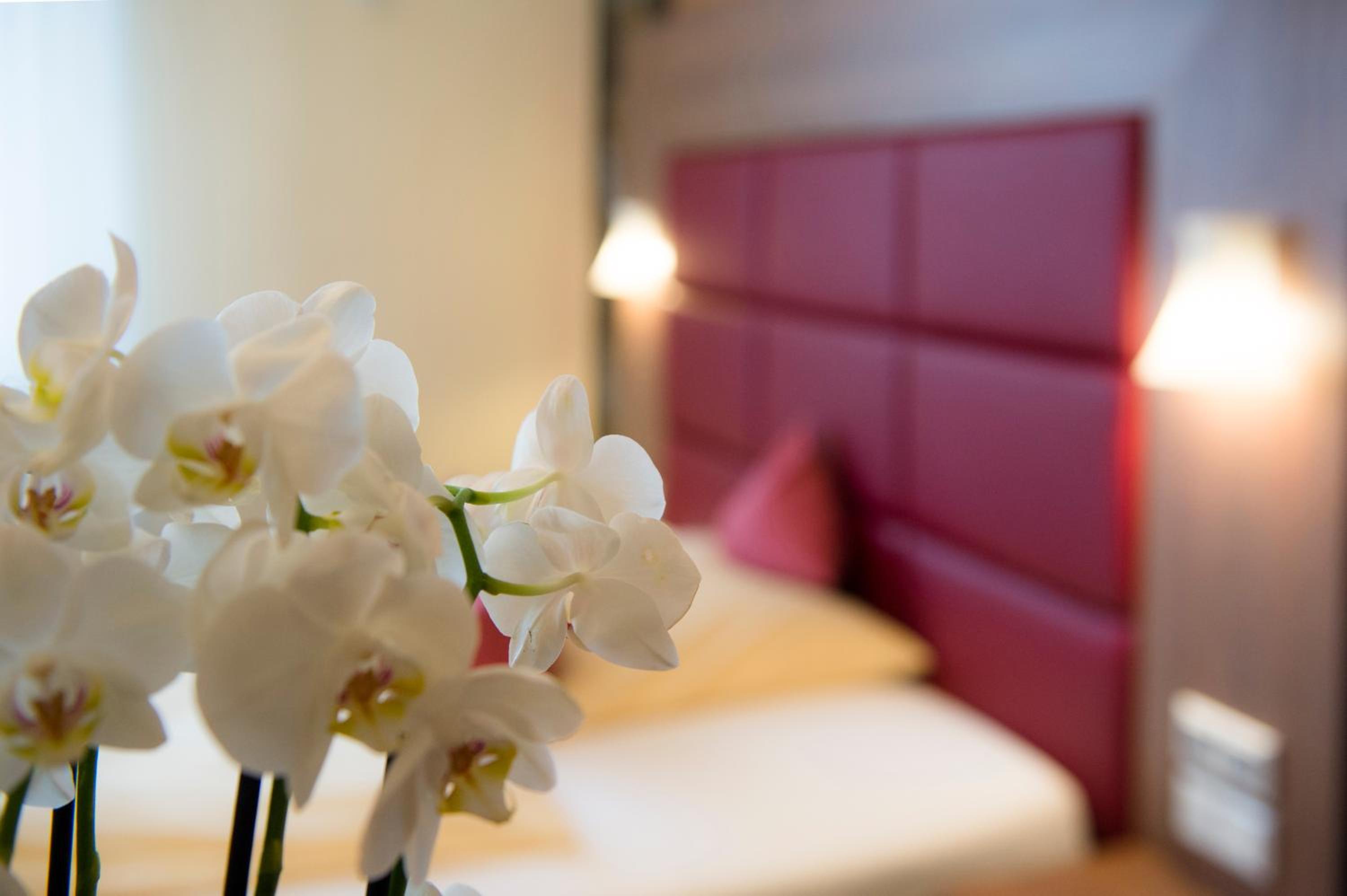 Double Room - Photo 10