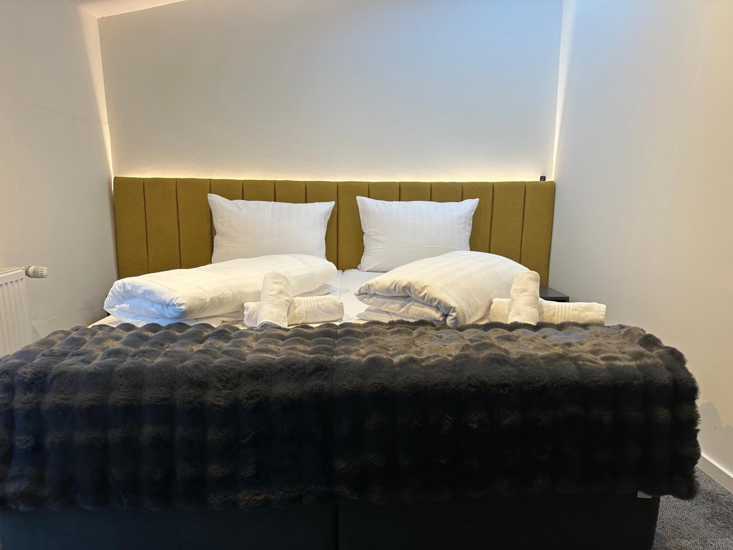 Deluxe Double Room photo 2