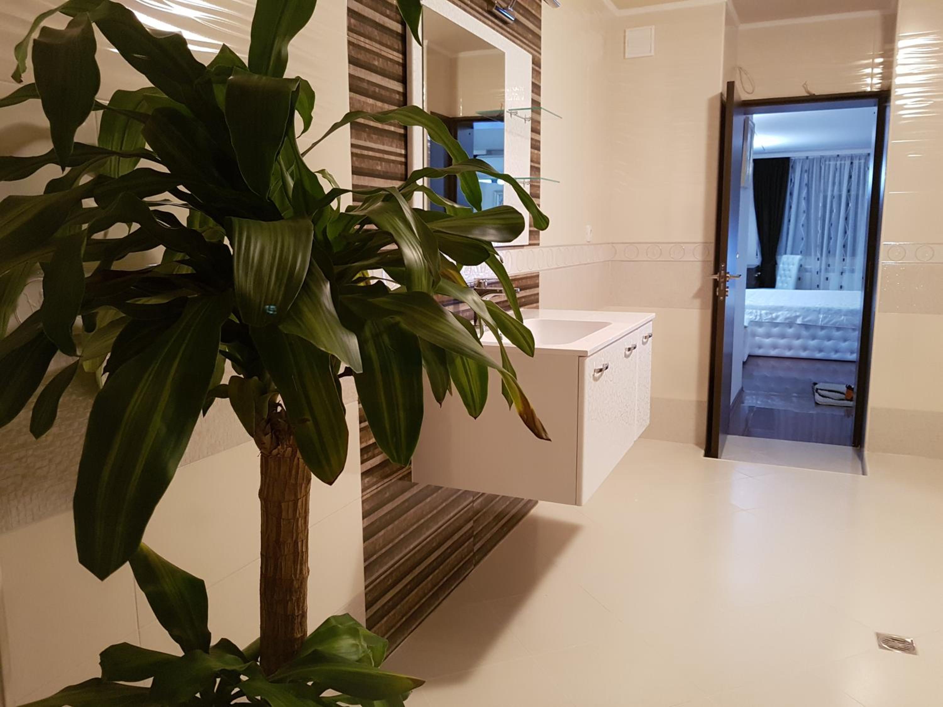 Apartment - Photo 9