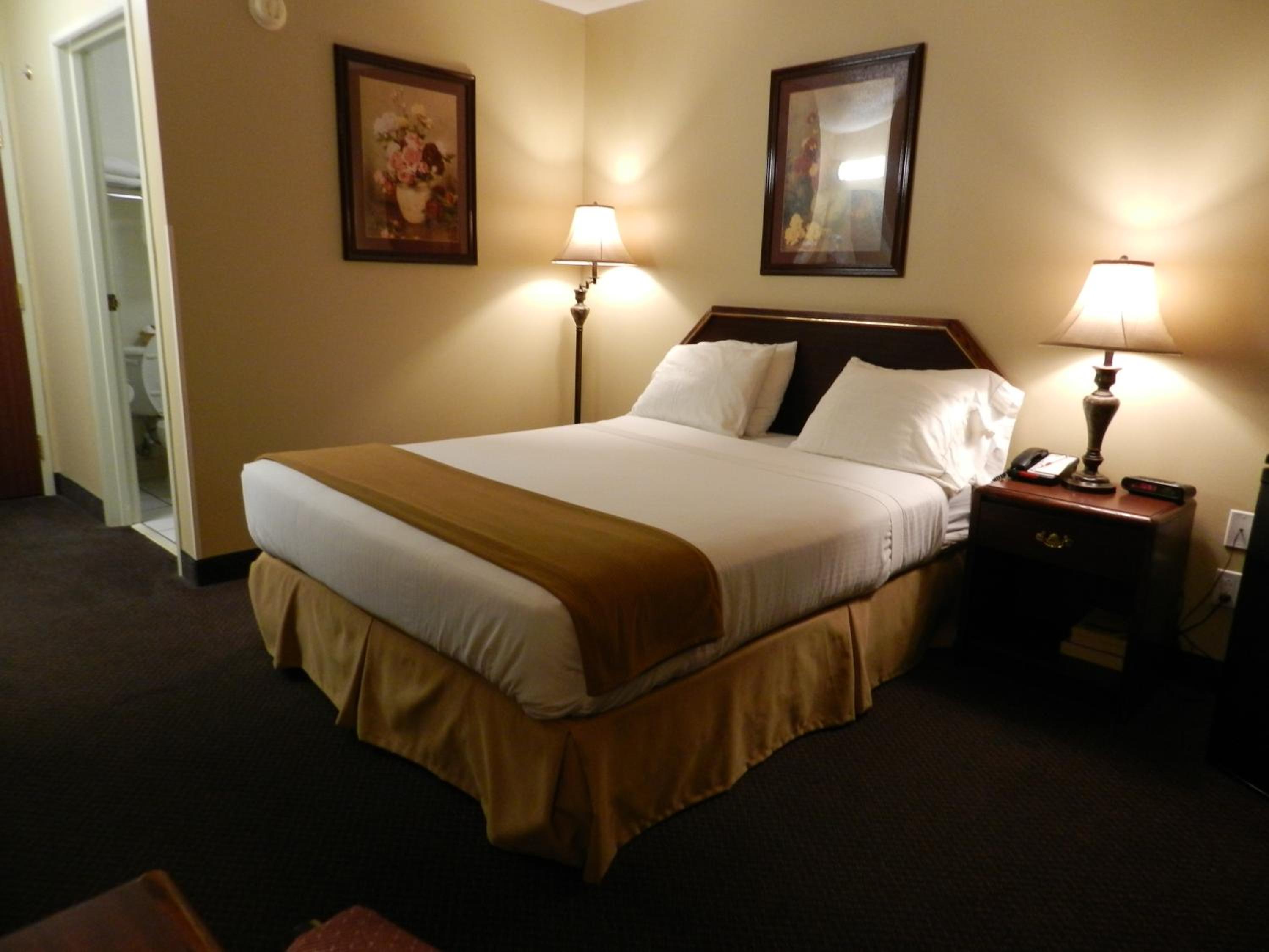 Deluxe Single Room photo 1