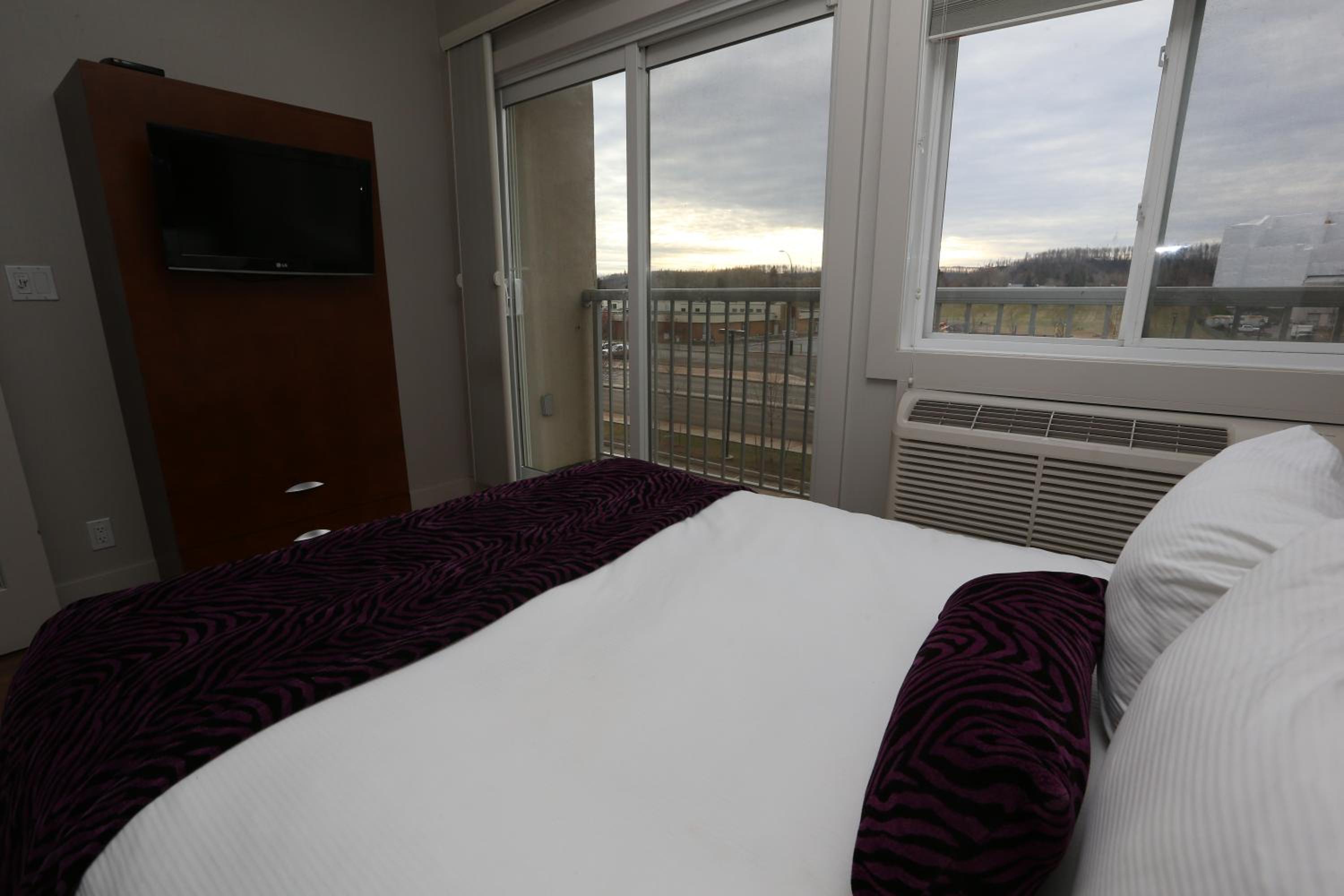 One-Bedroom Queen Suite - Non-Smoking - Photo 1