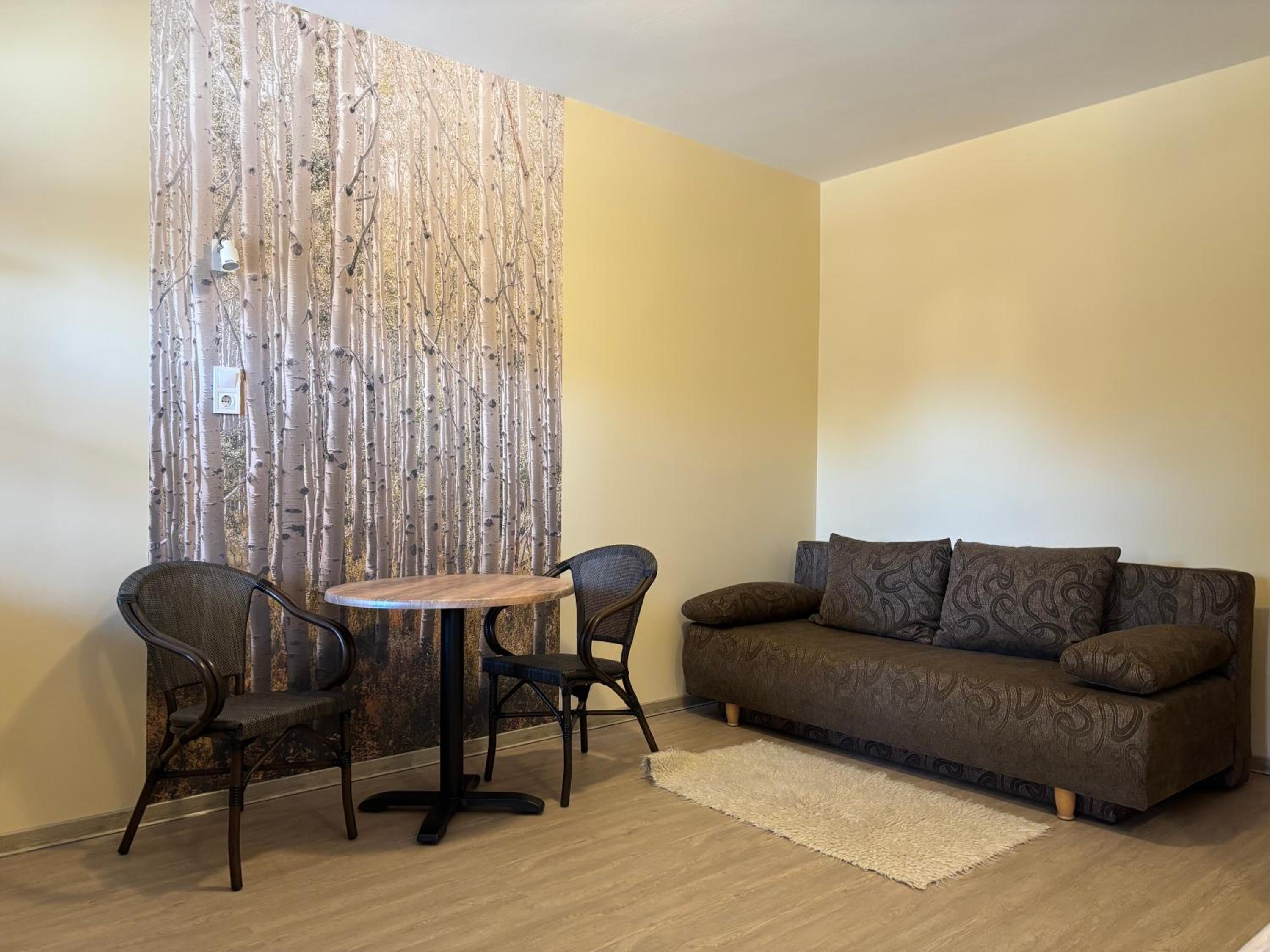 Studio with Sofa Bed