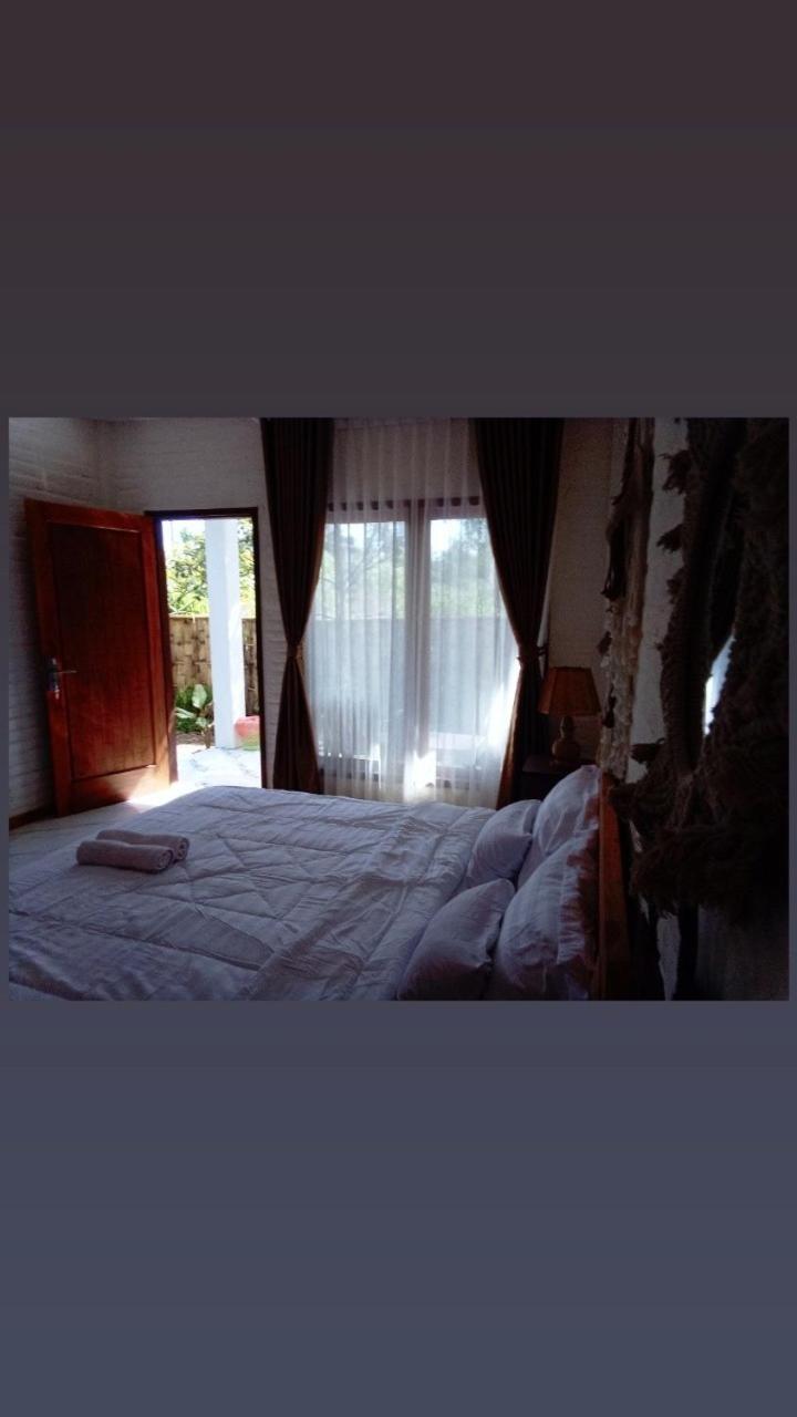 Double Room with Garden View photo 1