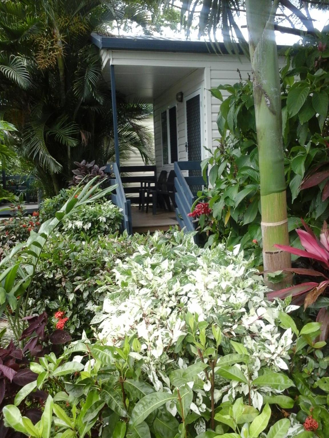 Standard Villa photo 3