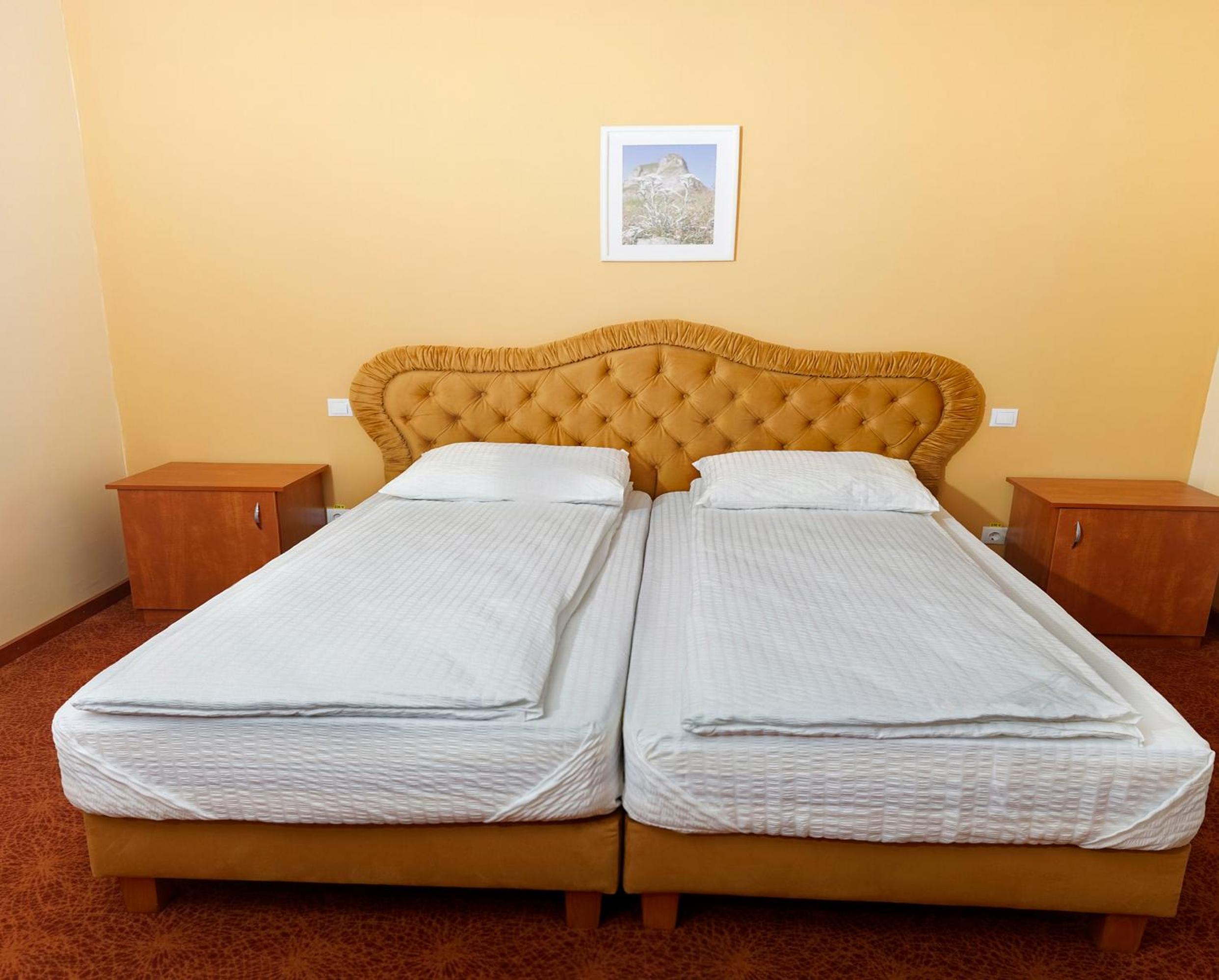 Deluxe Double or Twin Room photo 1