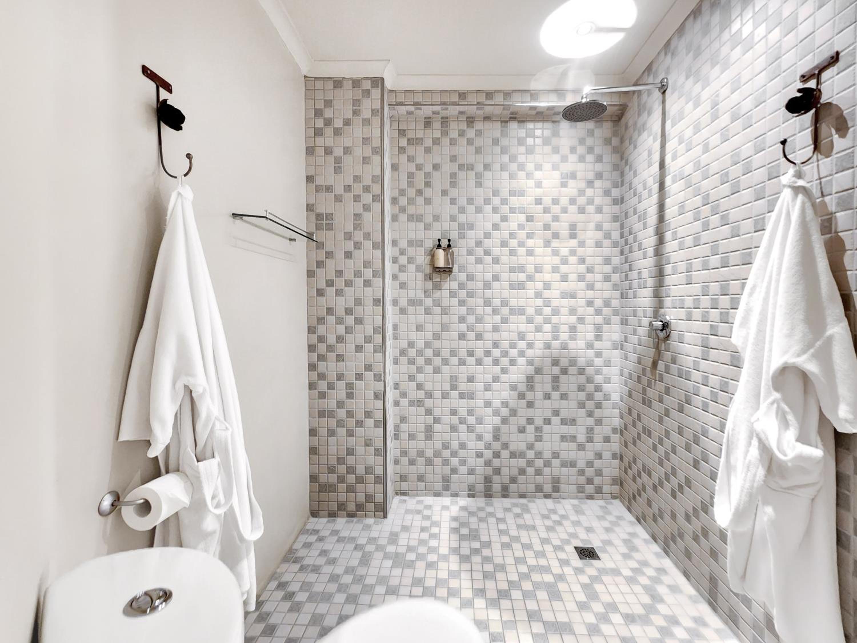 Deluxe Suite 201 / Kitchenette & Sleeper photo 3
