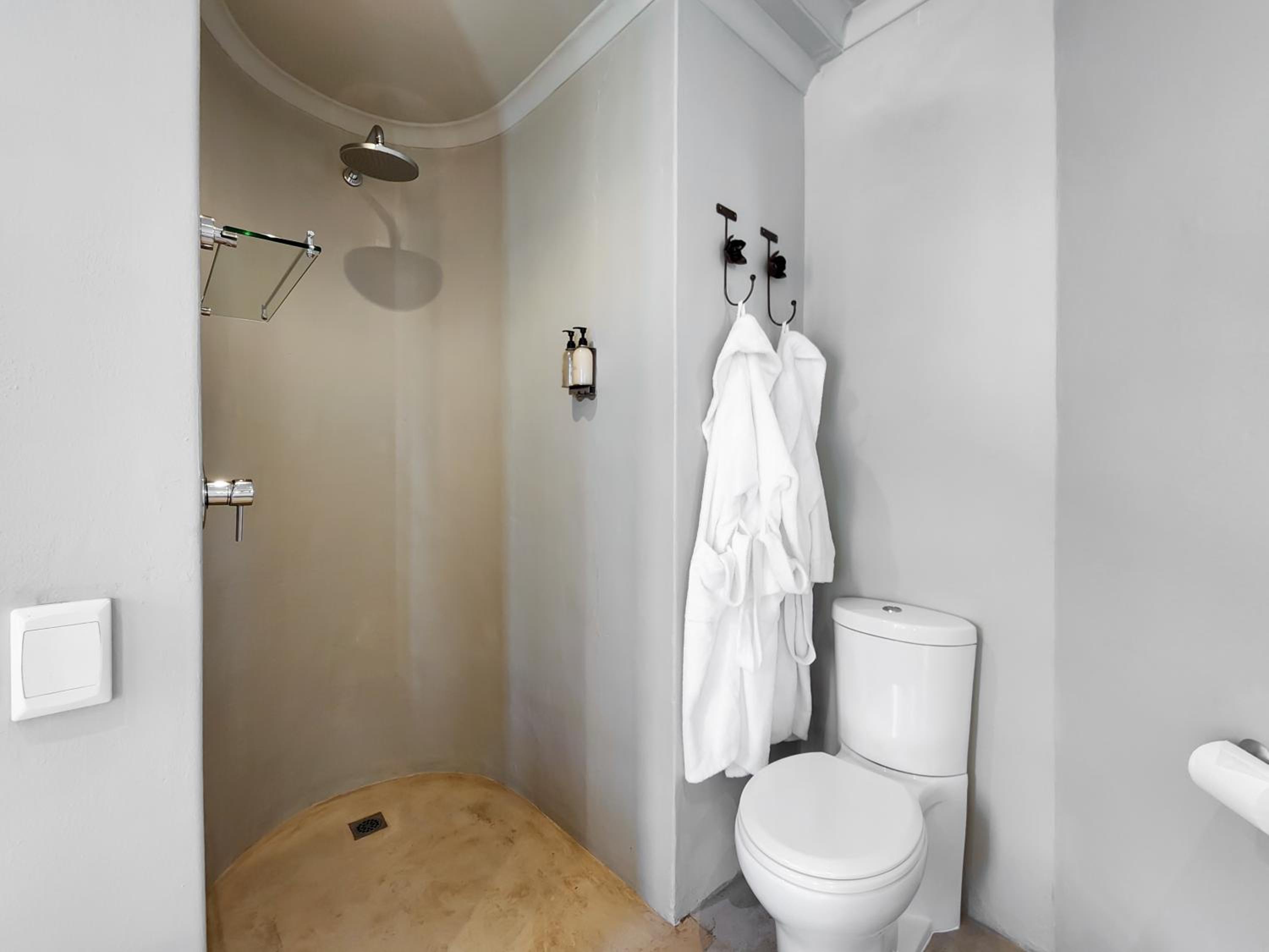 Deluxe Suite 202 / Bath & Rain Shower photo 3