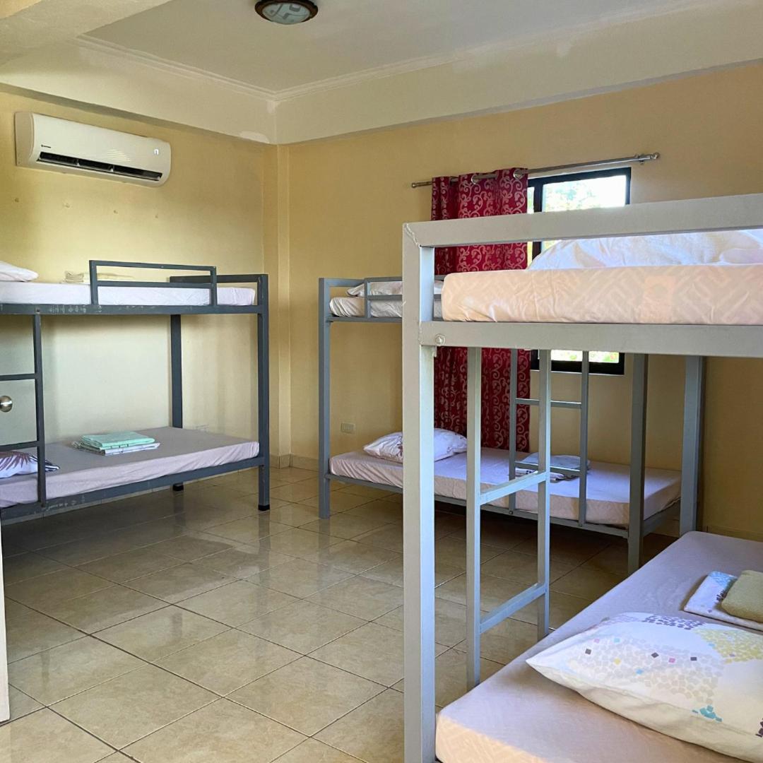 6-Bed Mixed Dormitory Room photo 1