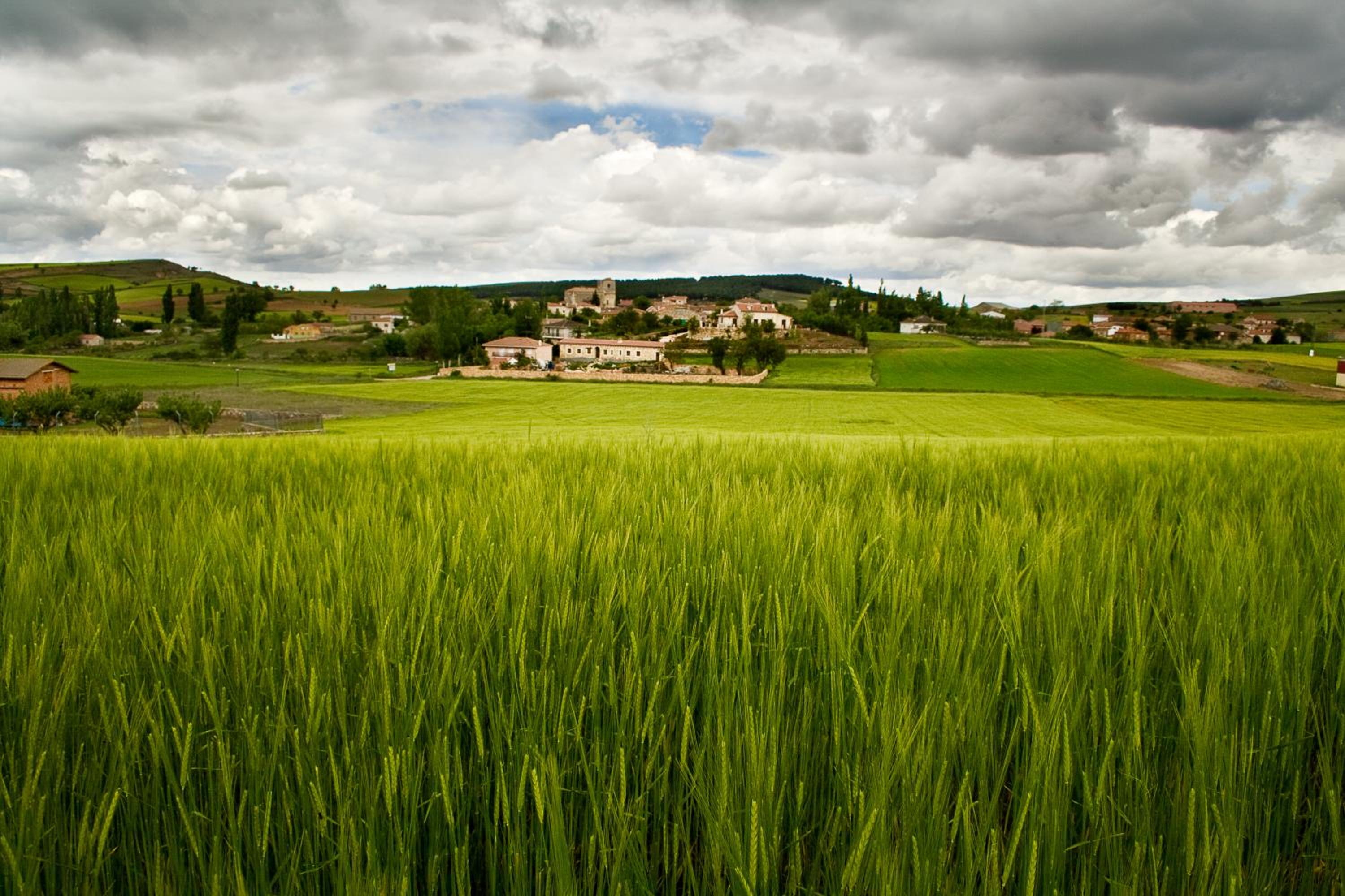 Holiday Home - Photo 65