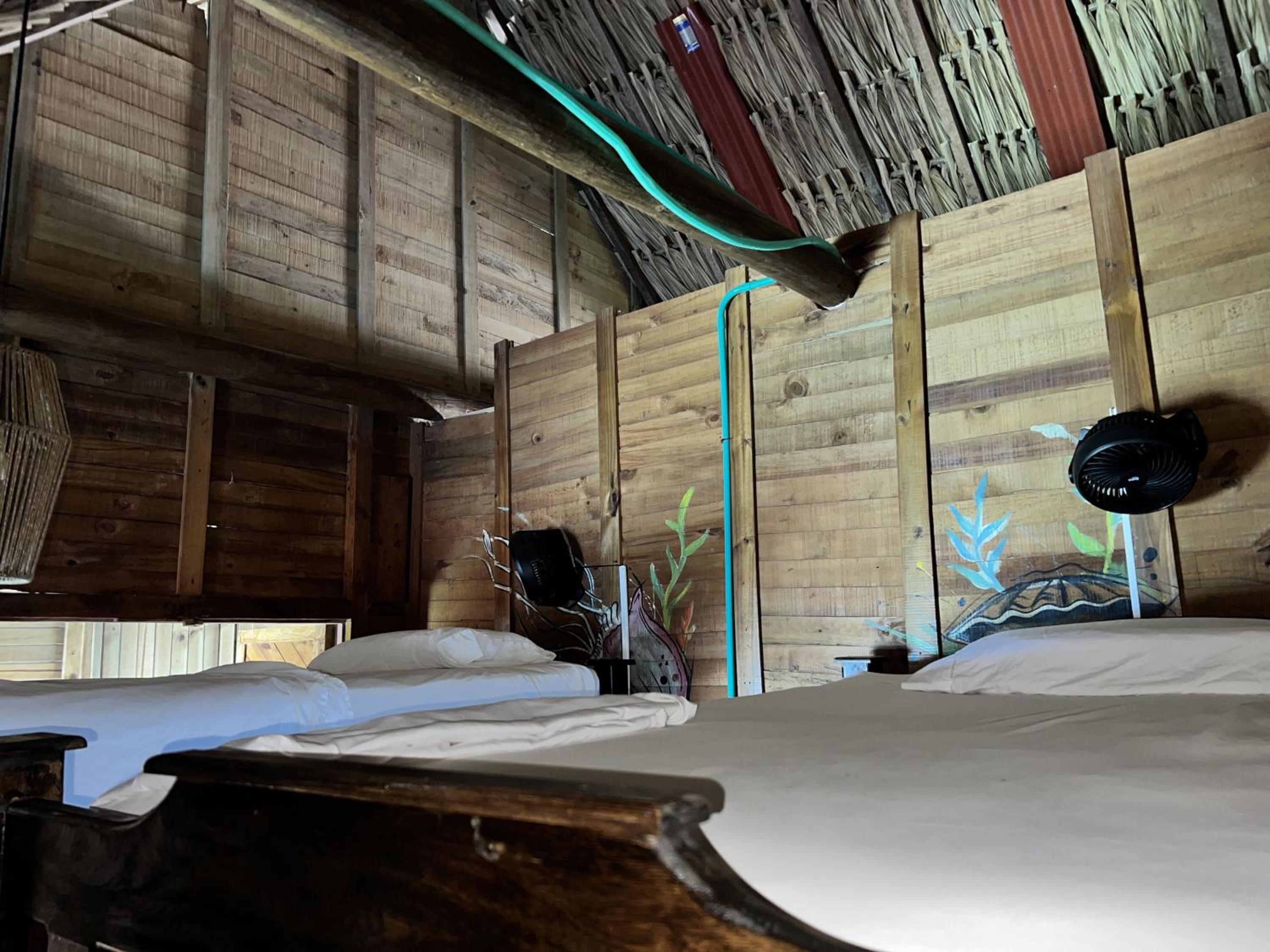 Bed in 4-Bed Mixed Dormitory Room photo 3