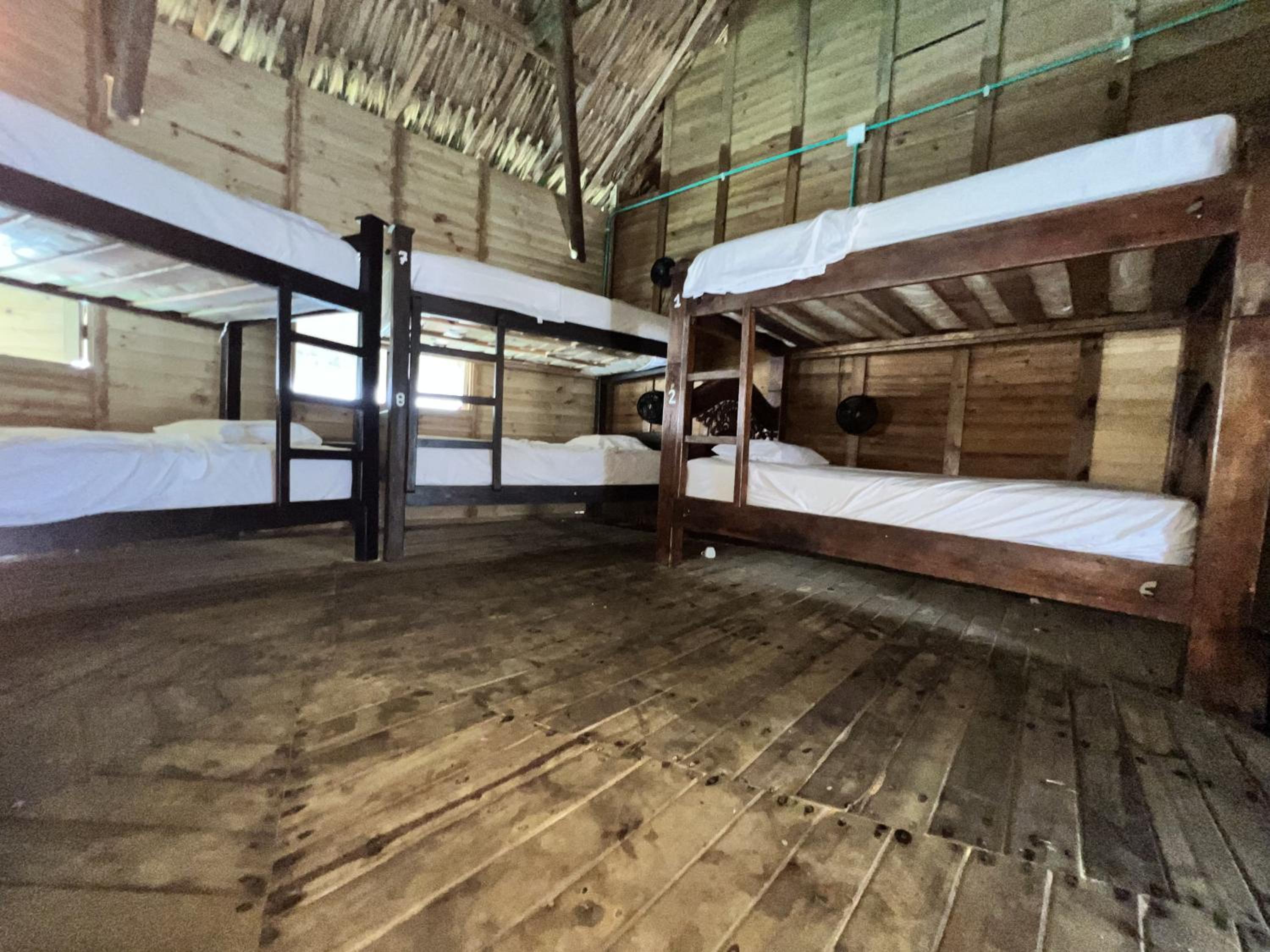 Bed in 8-Bed Mixed Dormitory Room photo 1