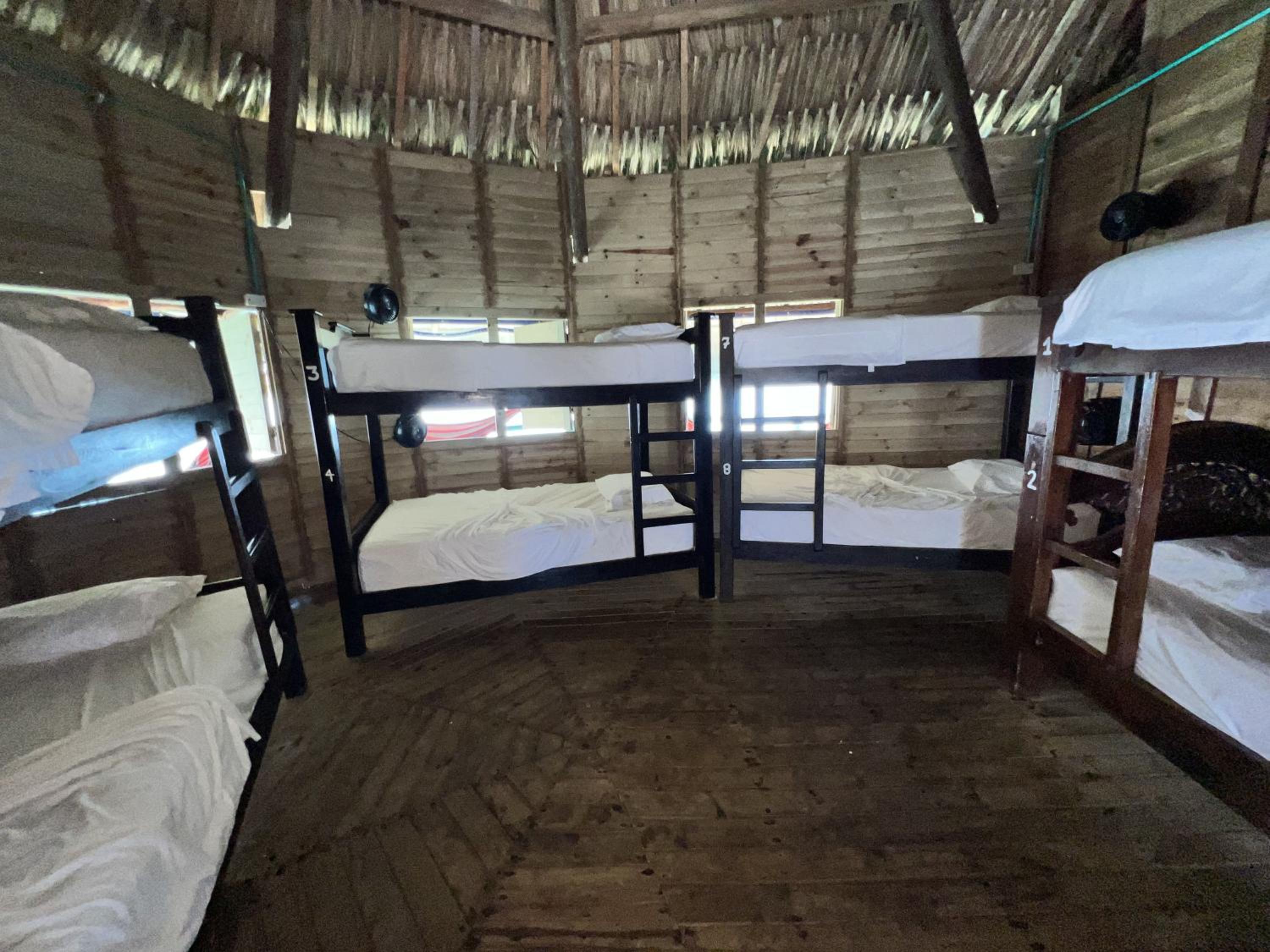 Bed in 8-Bed Mixed Dormitory Room photo 3