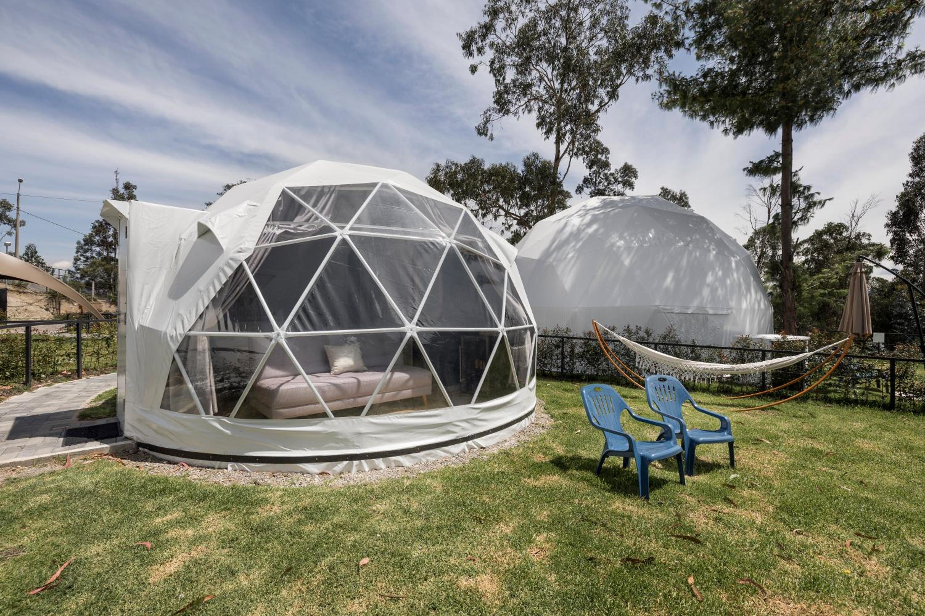 Dome Forest View photo 1