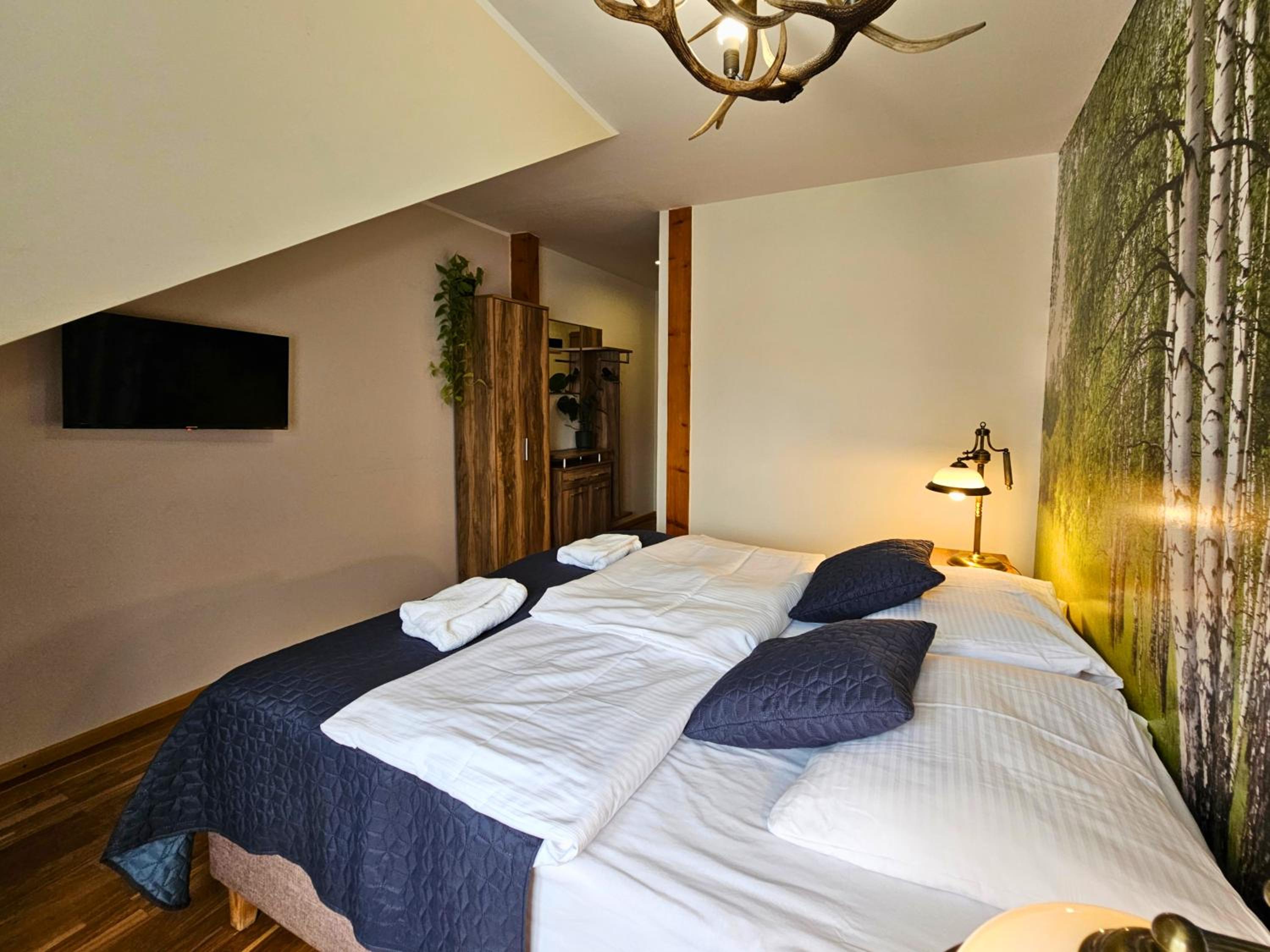 Double or Twin Room photo 3