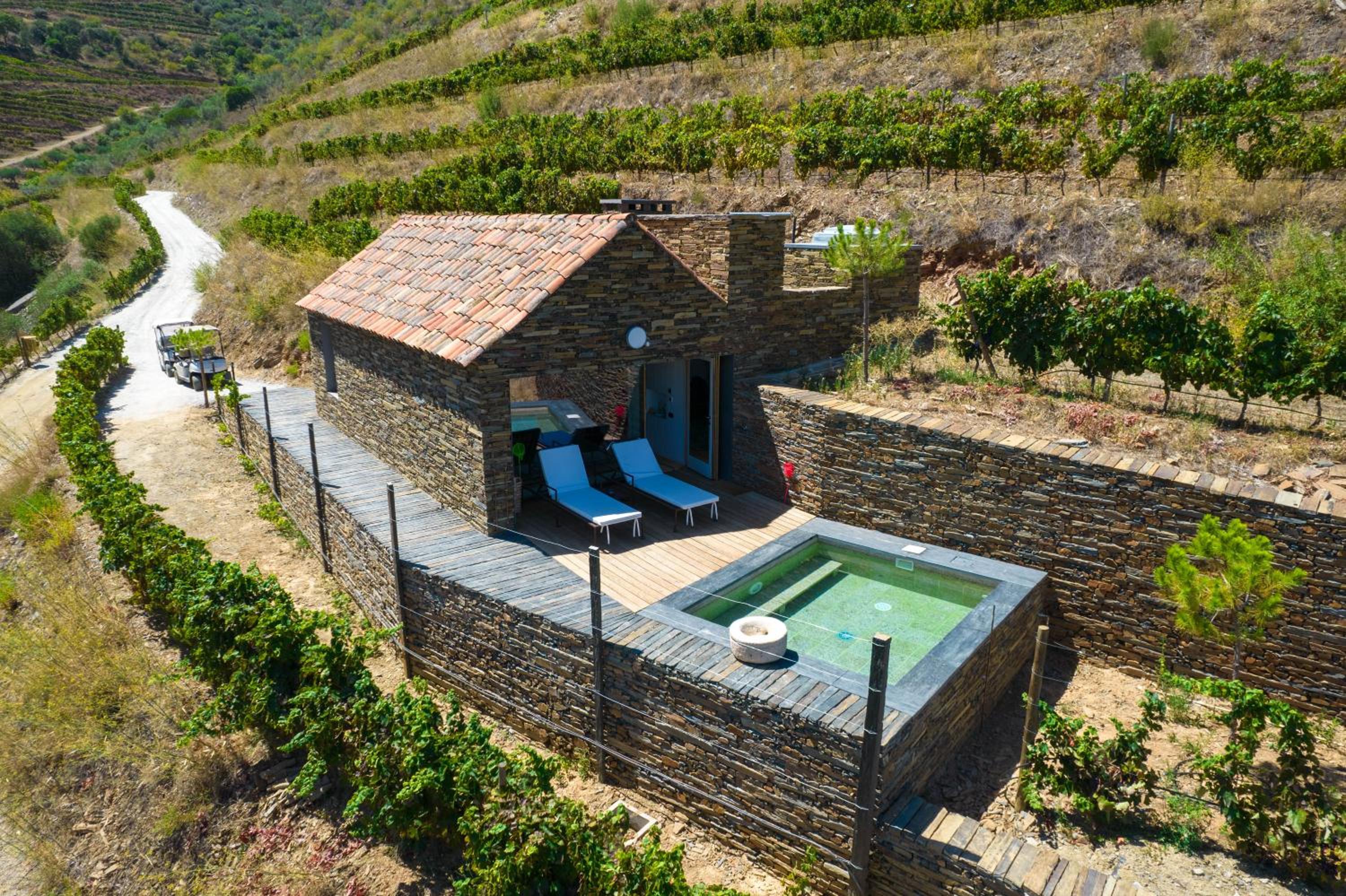 Suite with Terrace