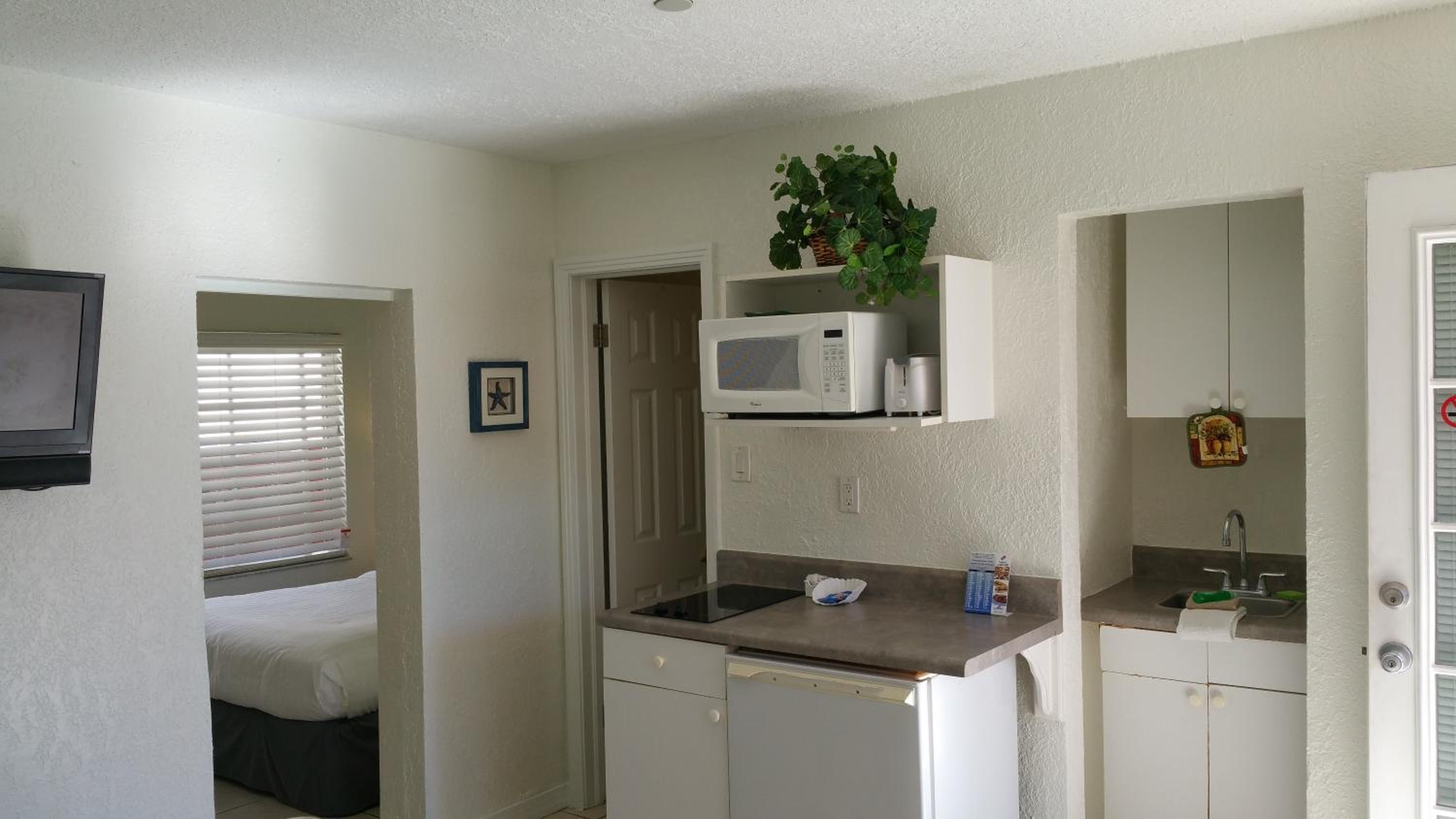 One Bedroom Apartment photo 3