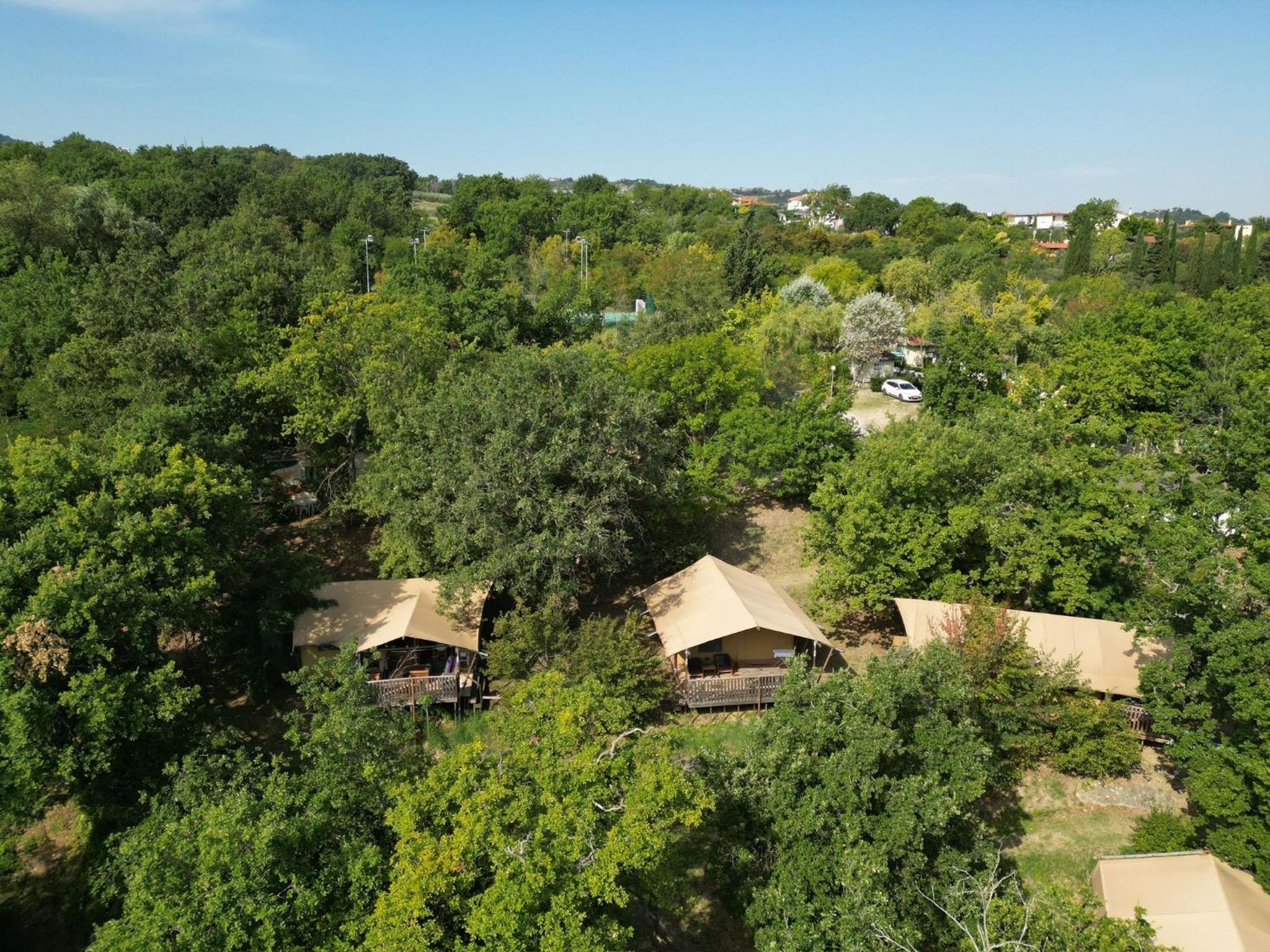 Safari Lodge Diva