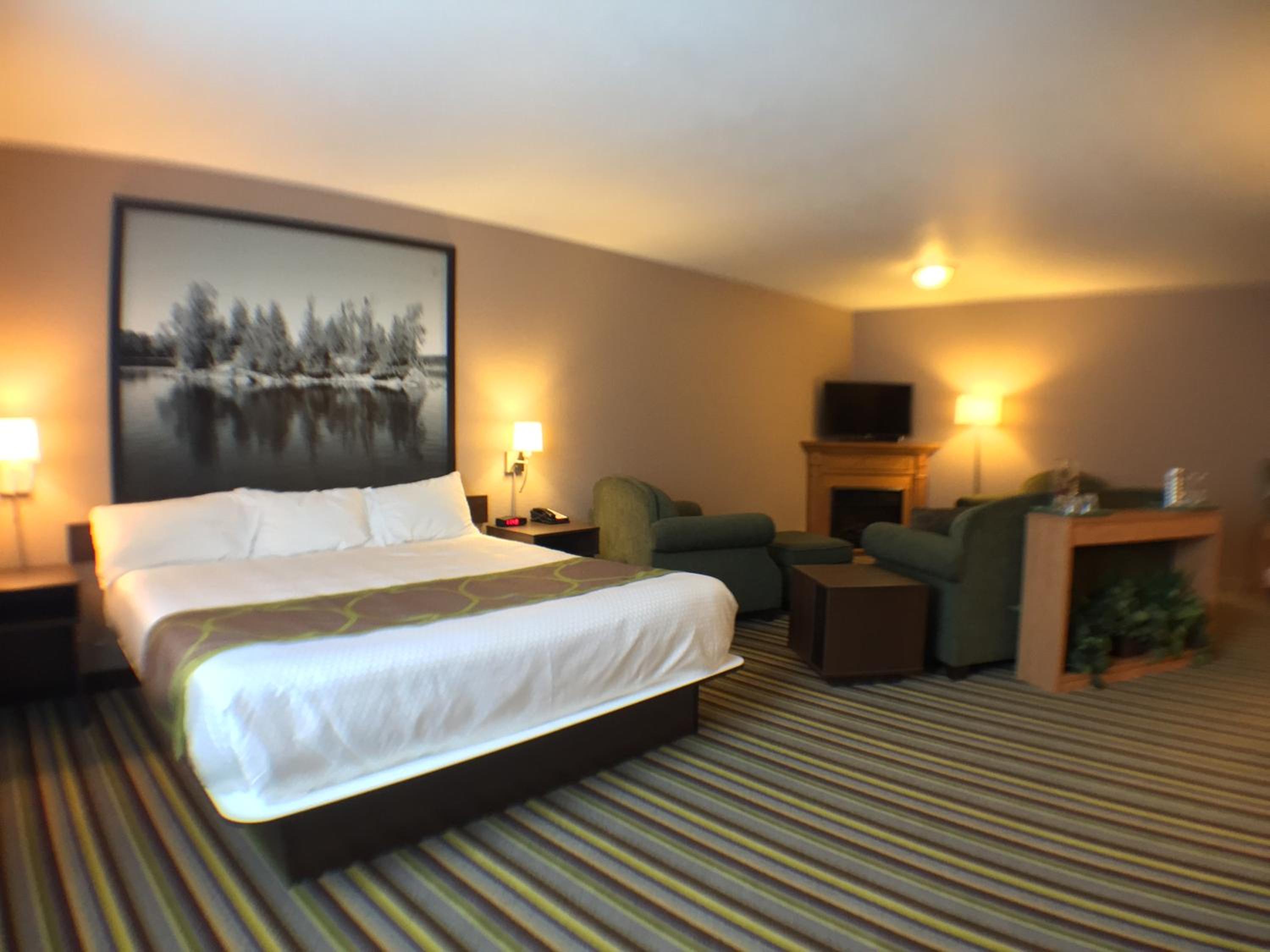 Deluxe King Studio Suite - Non-Smoking - Photo 1