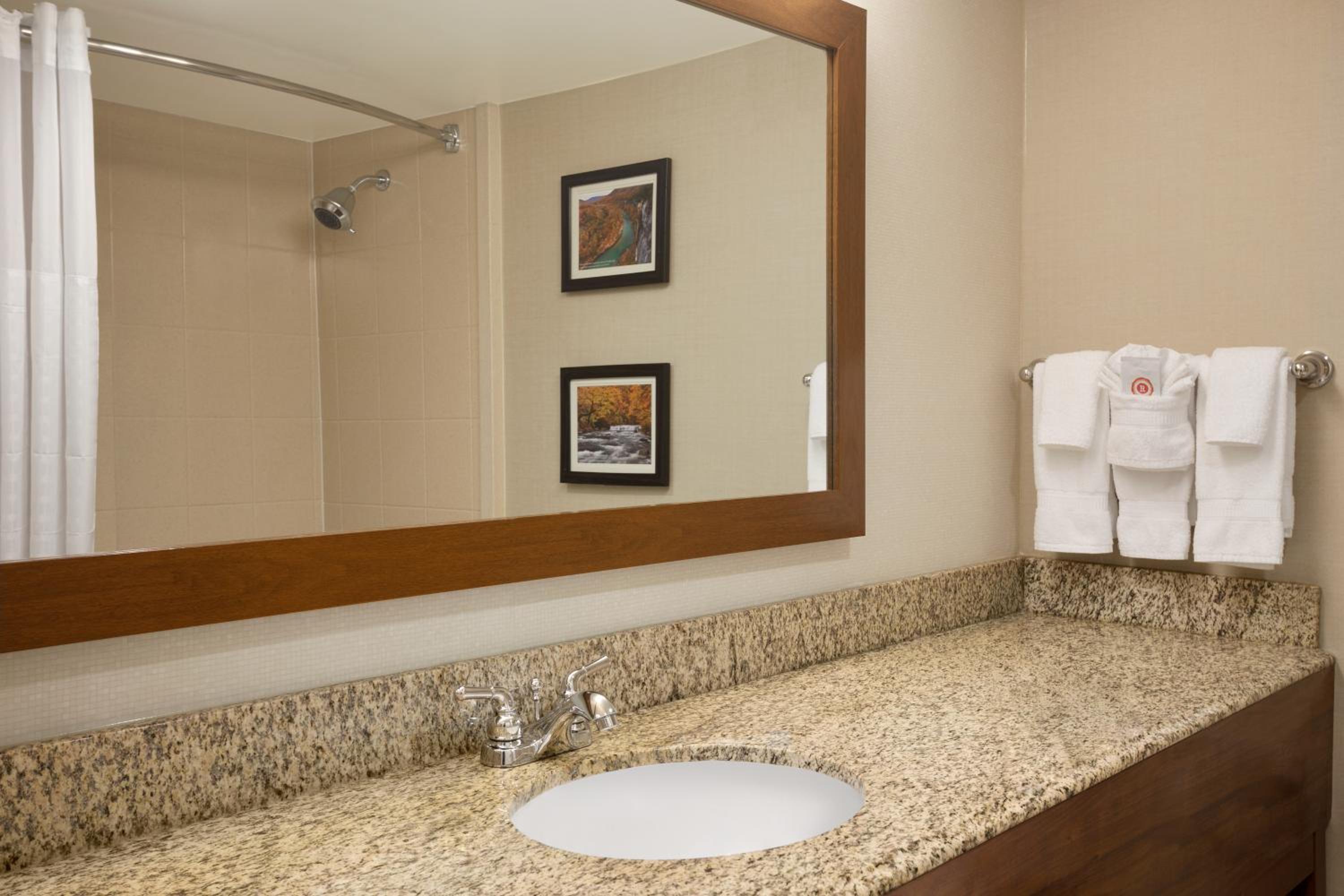 King Suite - Non-Smoking - Photo 4