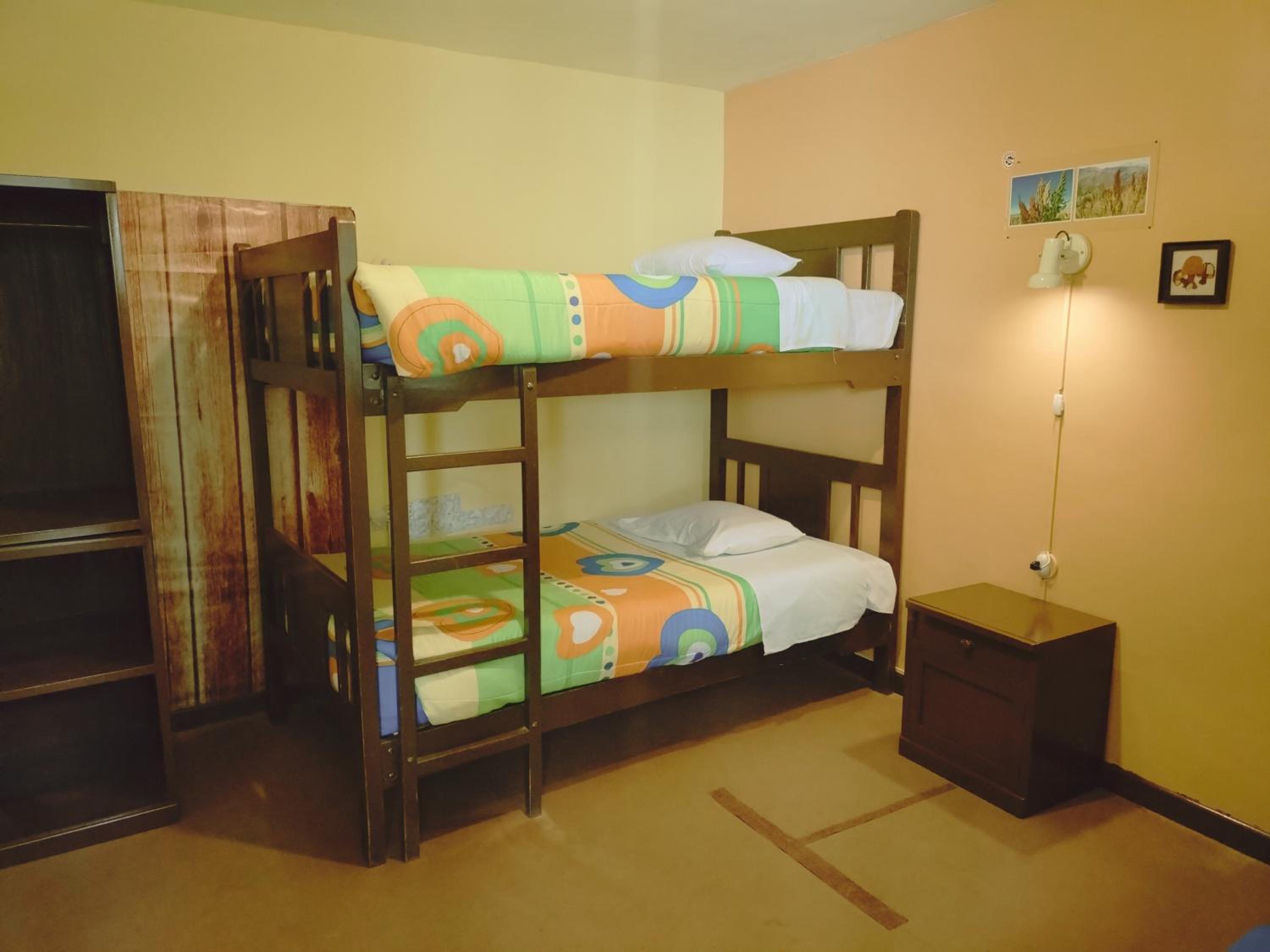 Single Bed in Female Dormitory Room photo 1