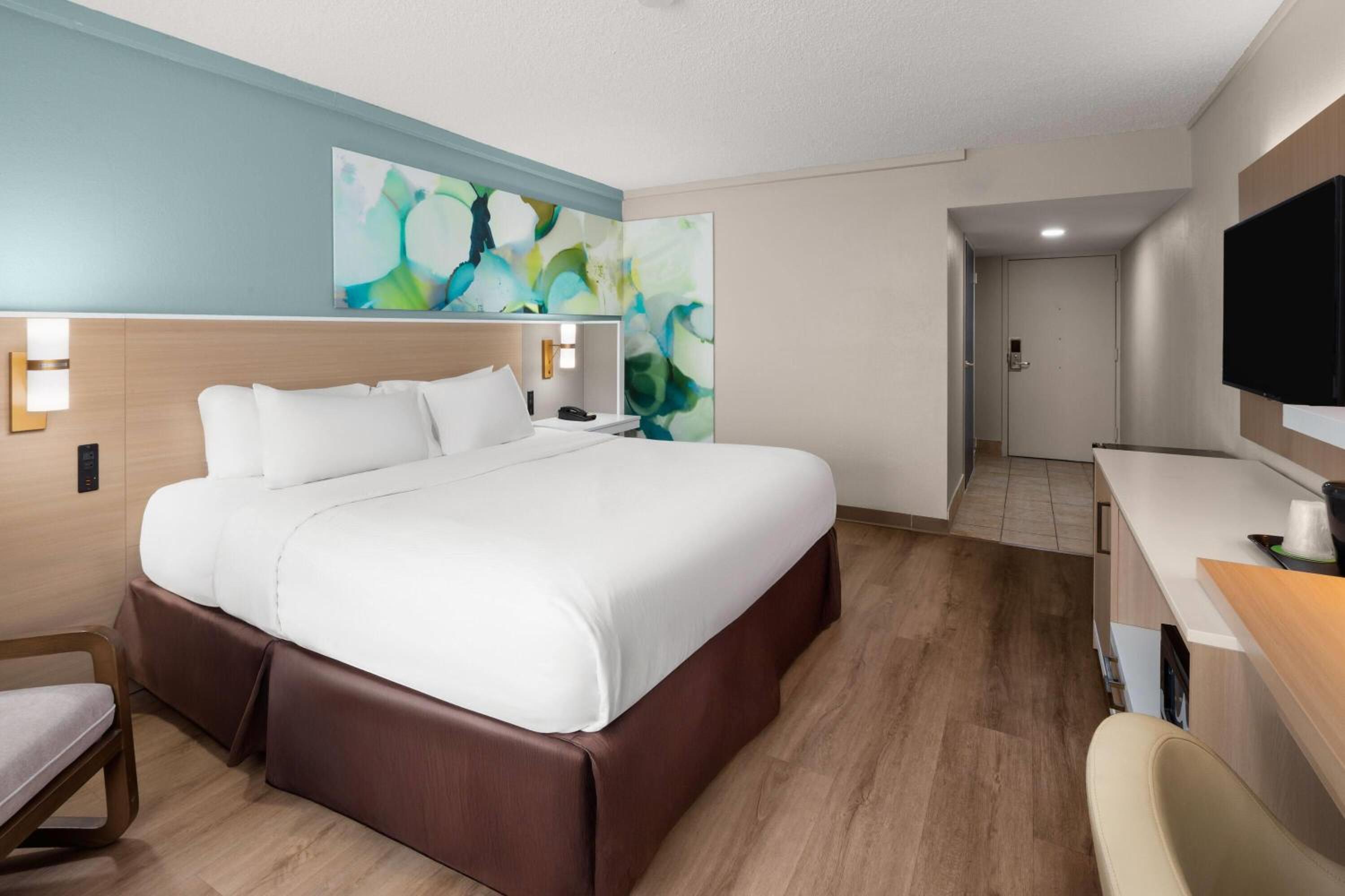 King Room with Roll-in Shower - Mobility Access/Non-Smoking photo 2