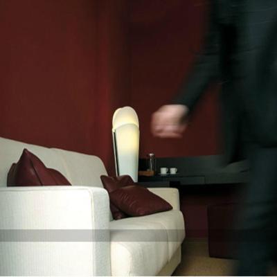 Suite - Photo 5