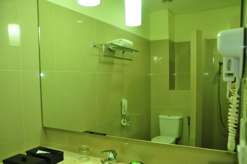 Deluxe Twin Room photo 3