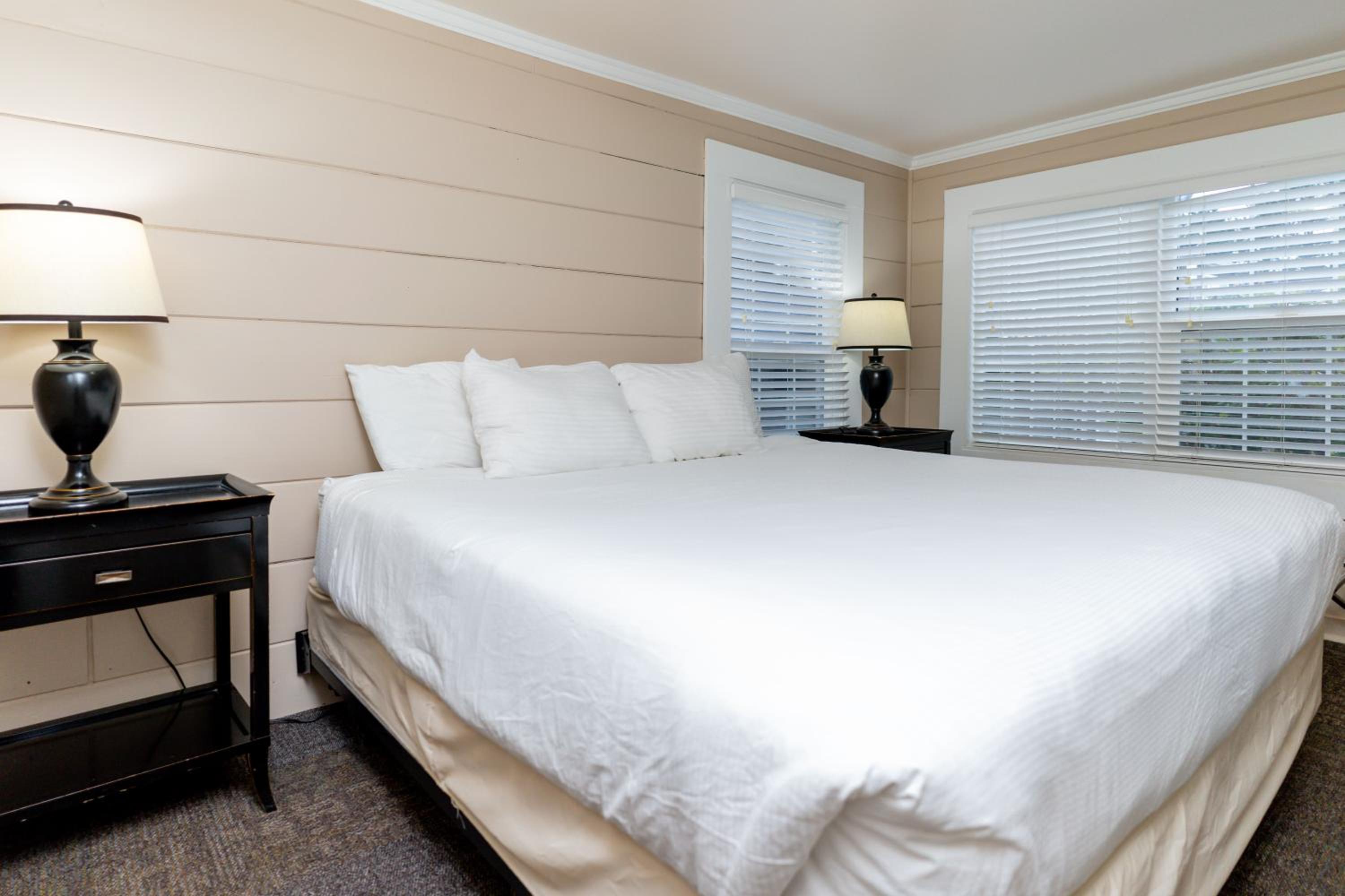 King Suite #15 (pet-friendly) photo 1