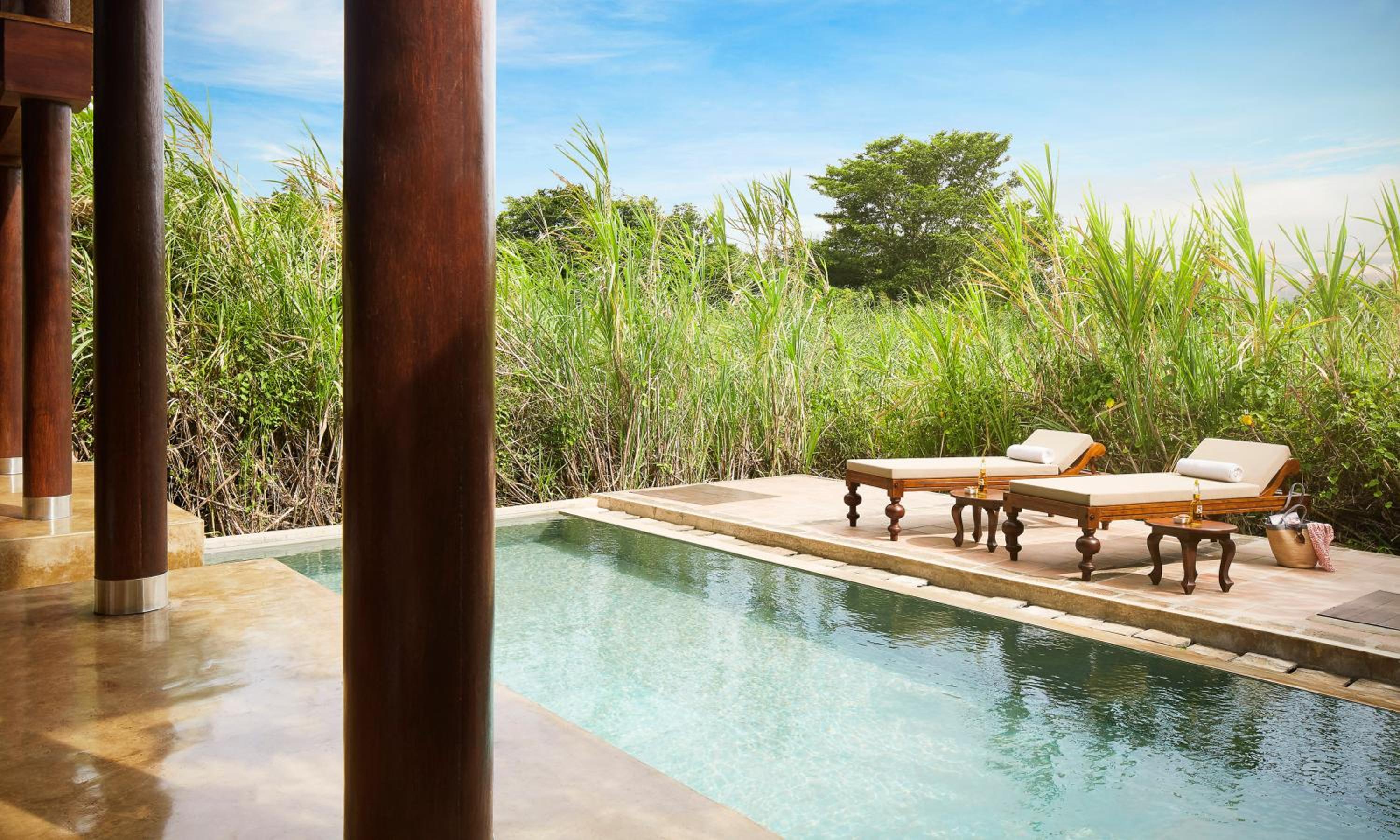 Forest Dwelling with Pool - Photo 5