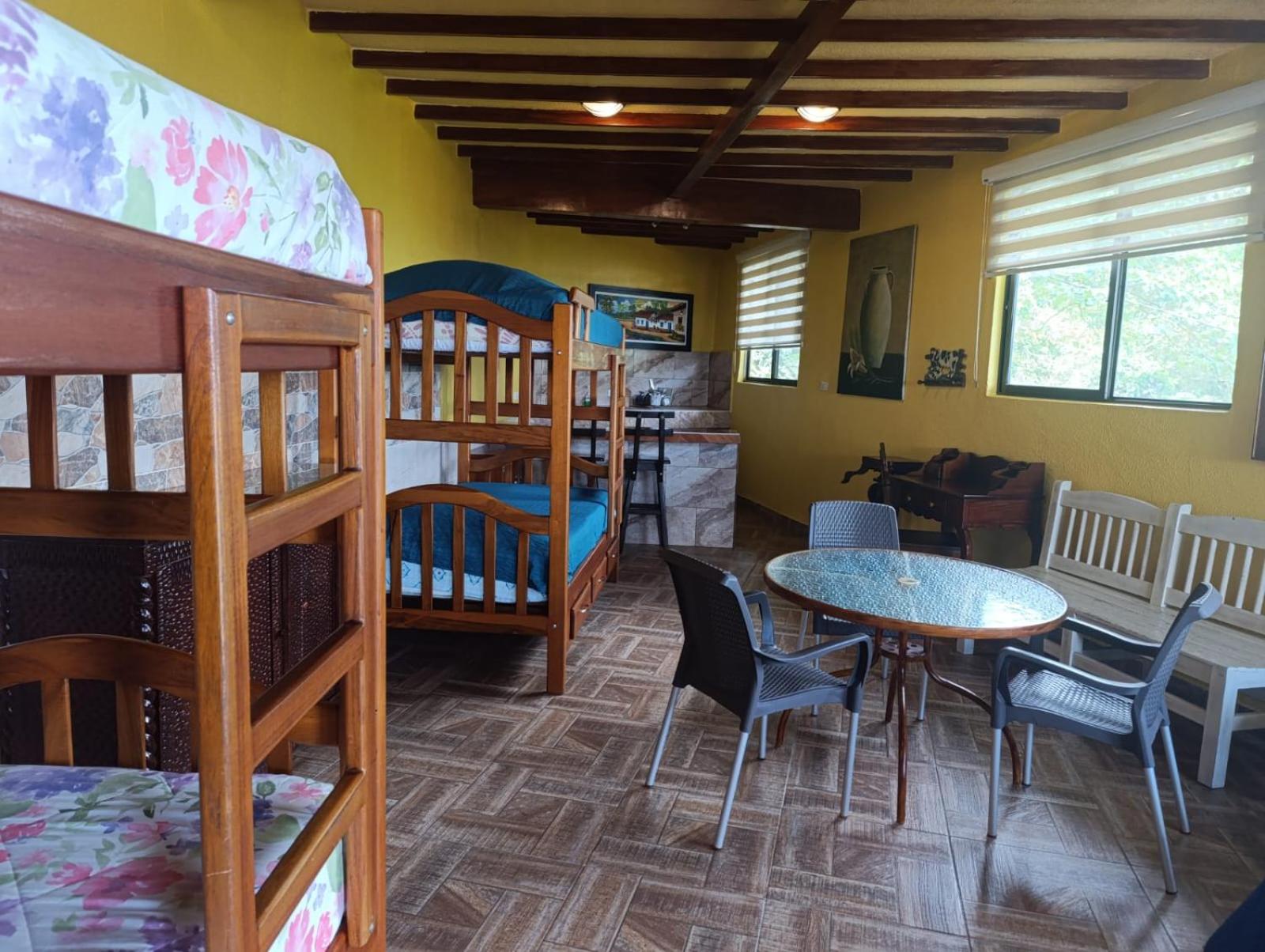 4-Bed Mixed Dormitory Room photo 2