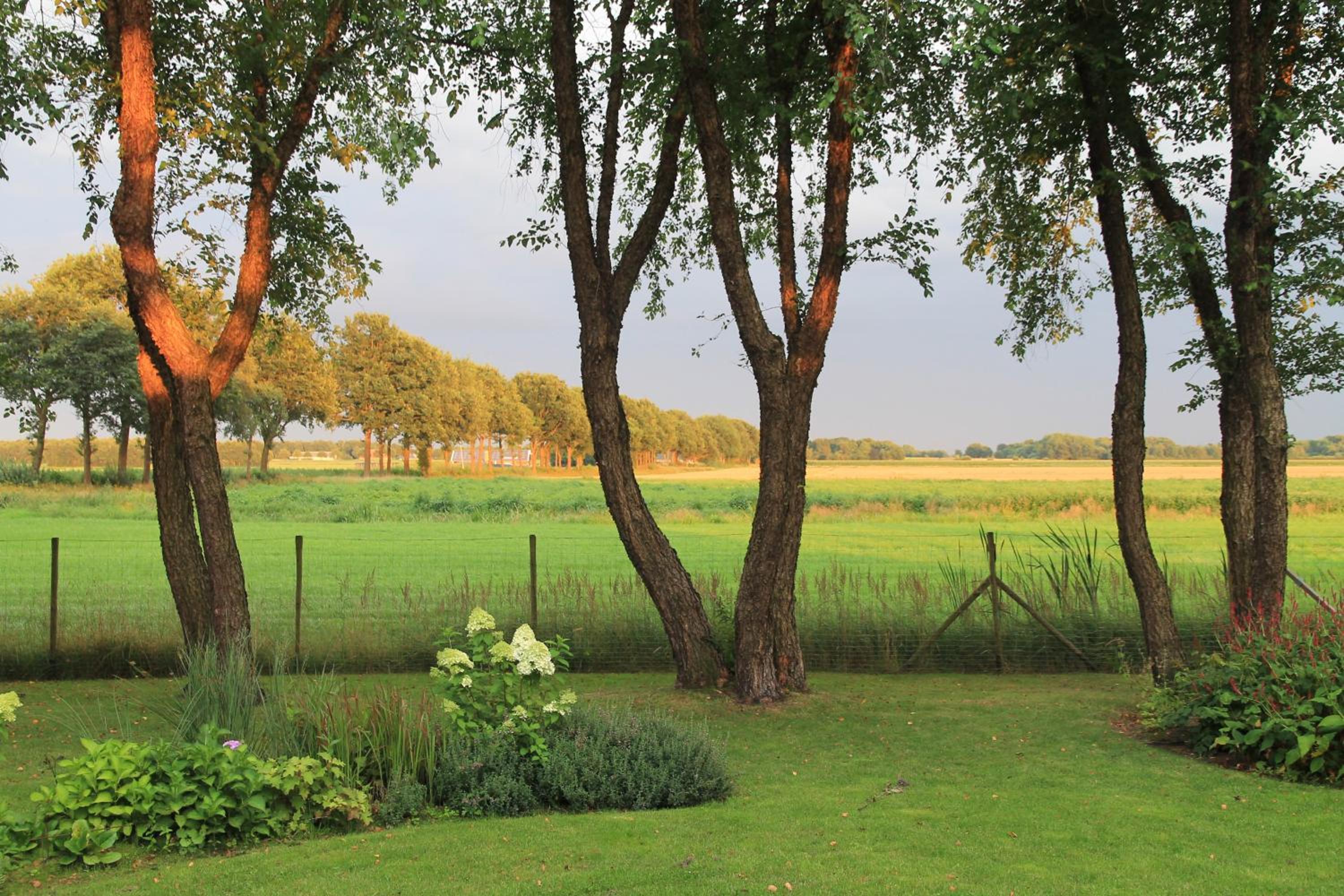 Studio With Garden View photo 2