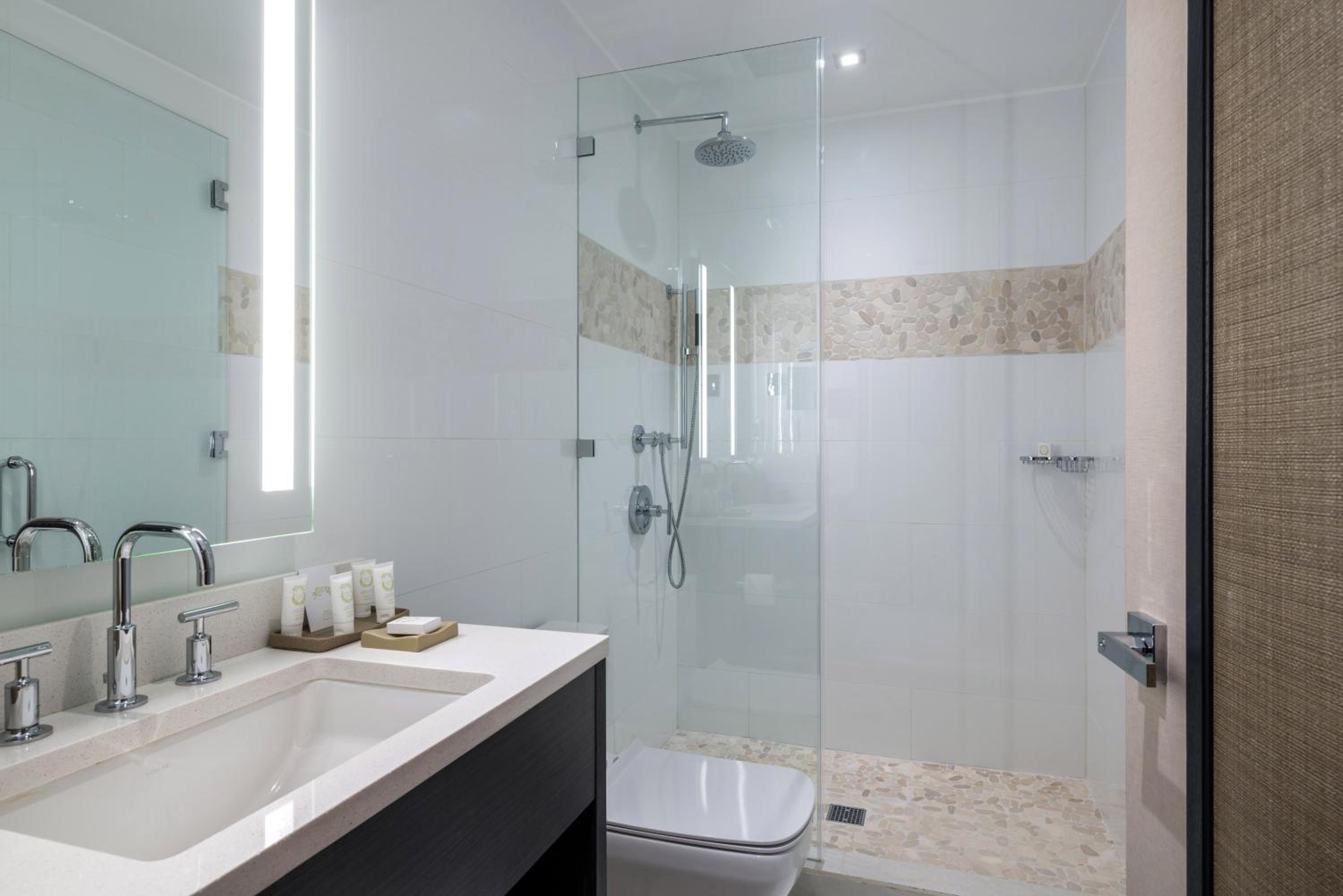 Deluxe Suite - Photo 11
