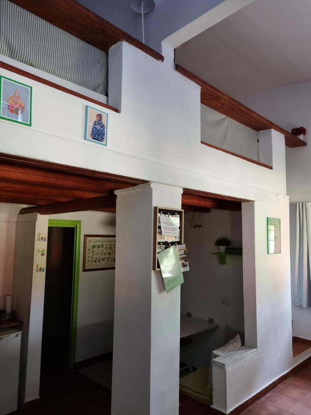 Duplex Apartment photo 2
