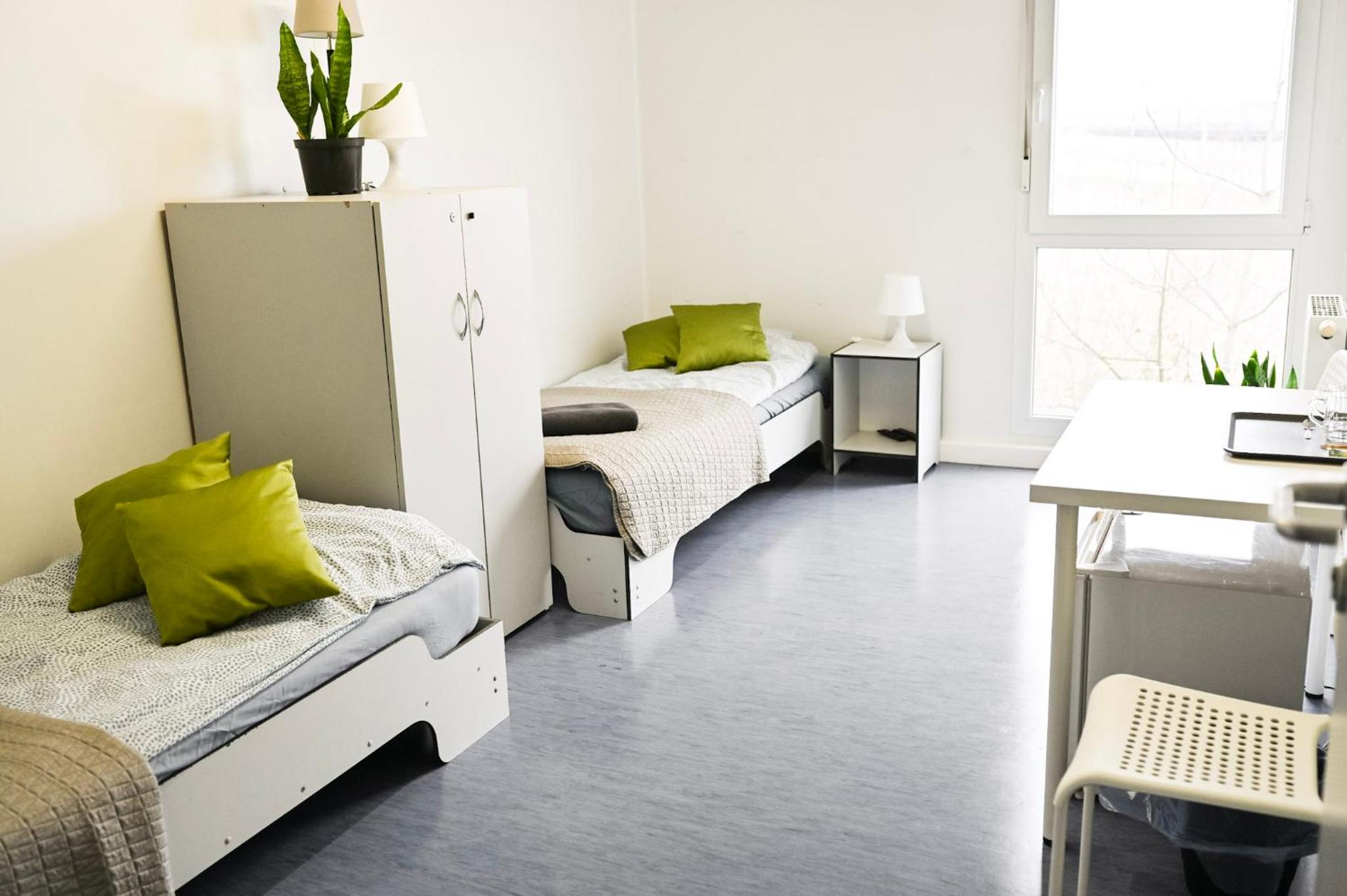 Single Room photo 1