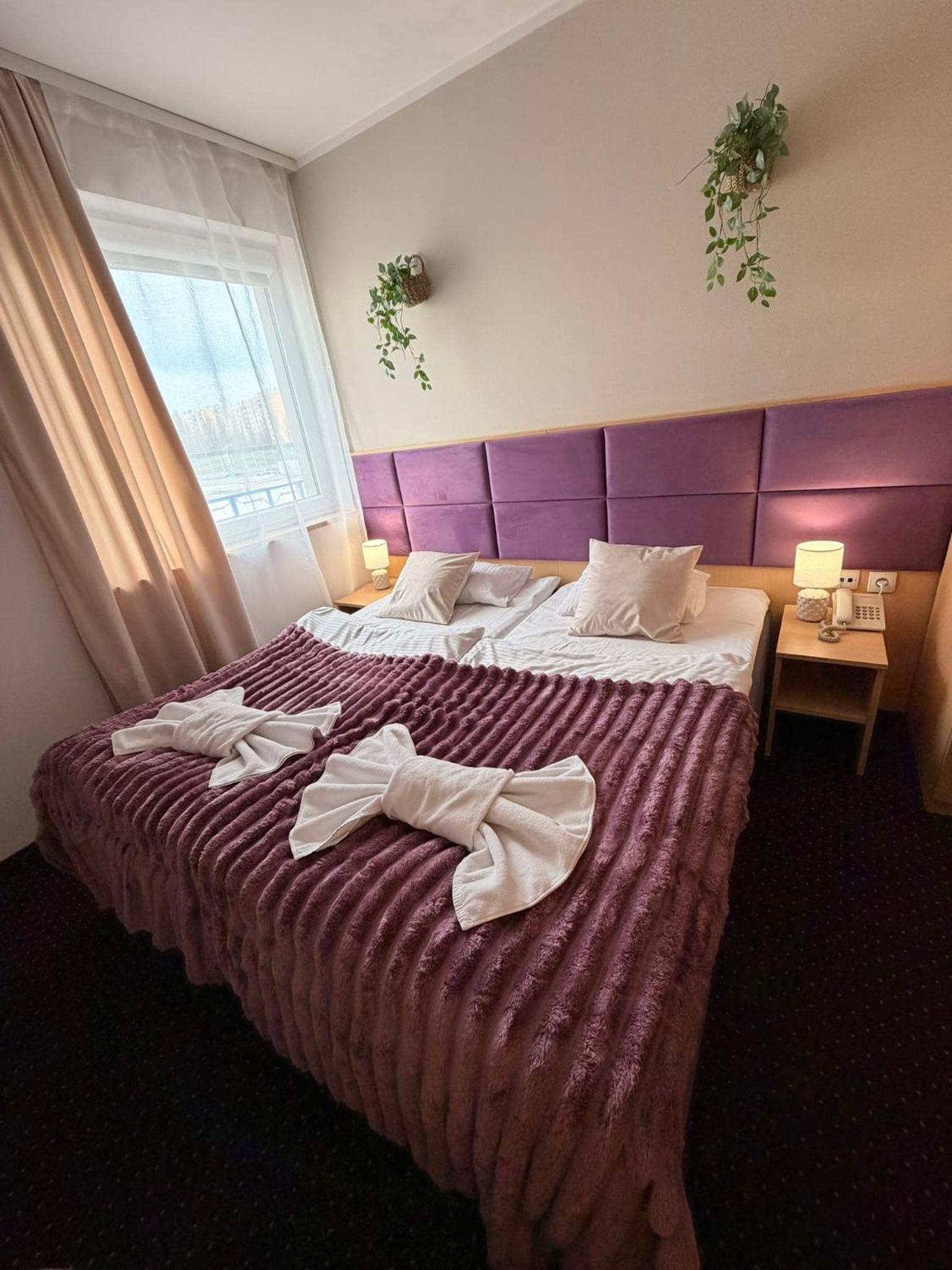 Standard Double or Twin Room photo 3