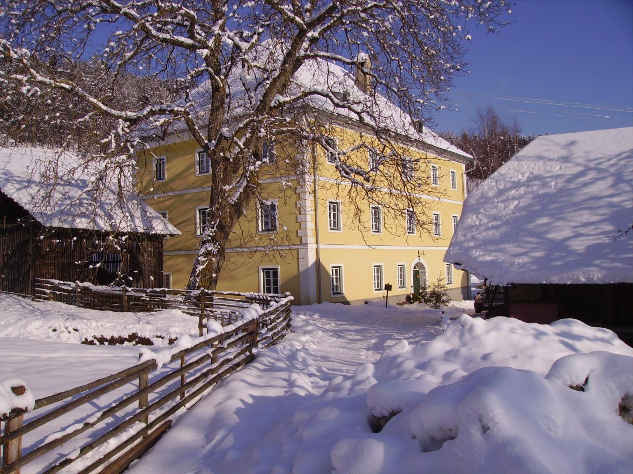 Apartment with Mountain View photo 2
