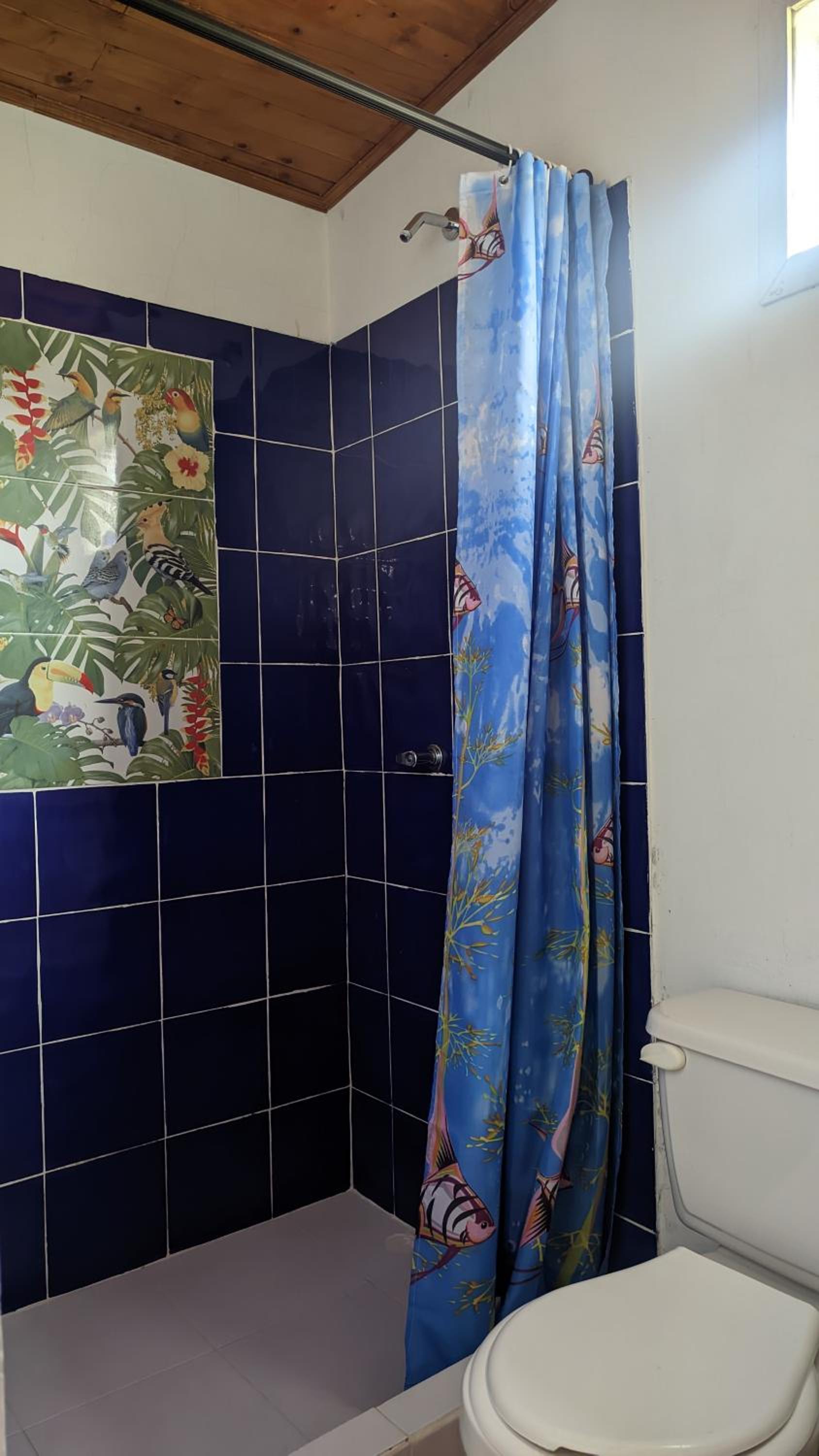 Standard Quadruple Room photo 2
