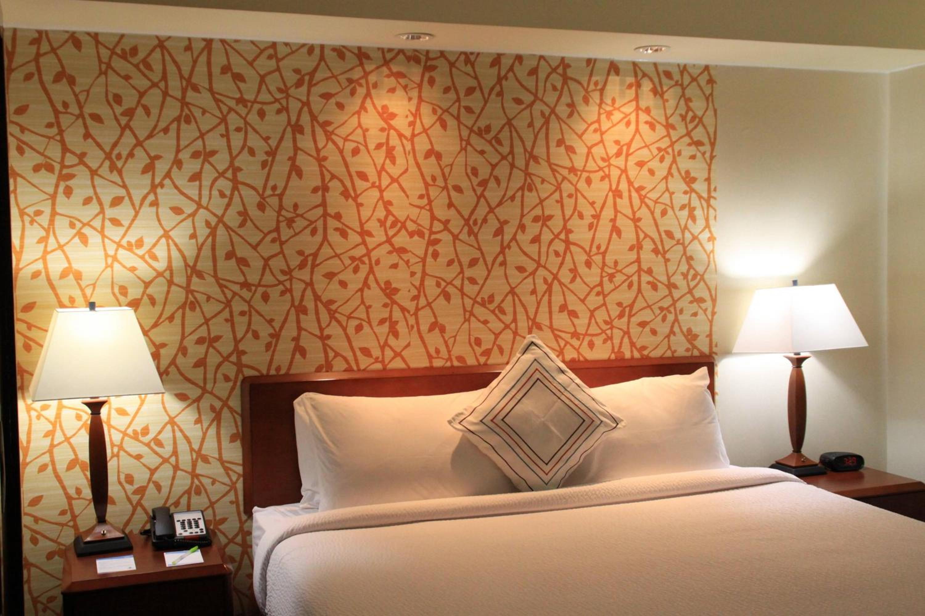 King Suite - Photo 10