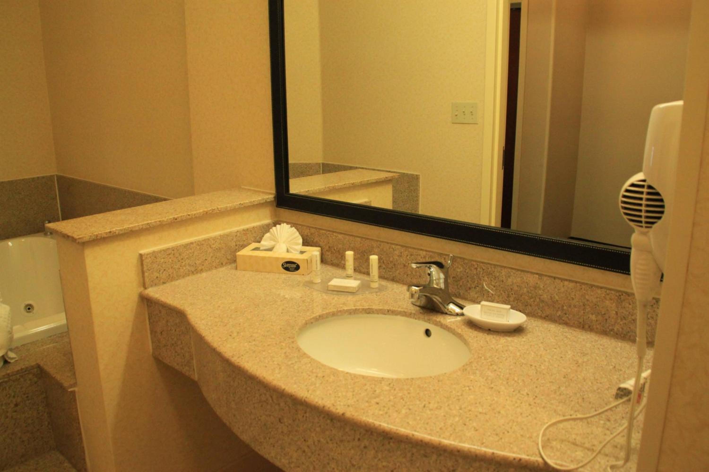 King Suite - Photo 8