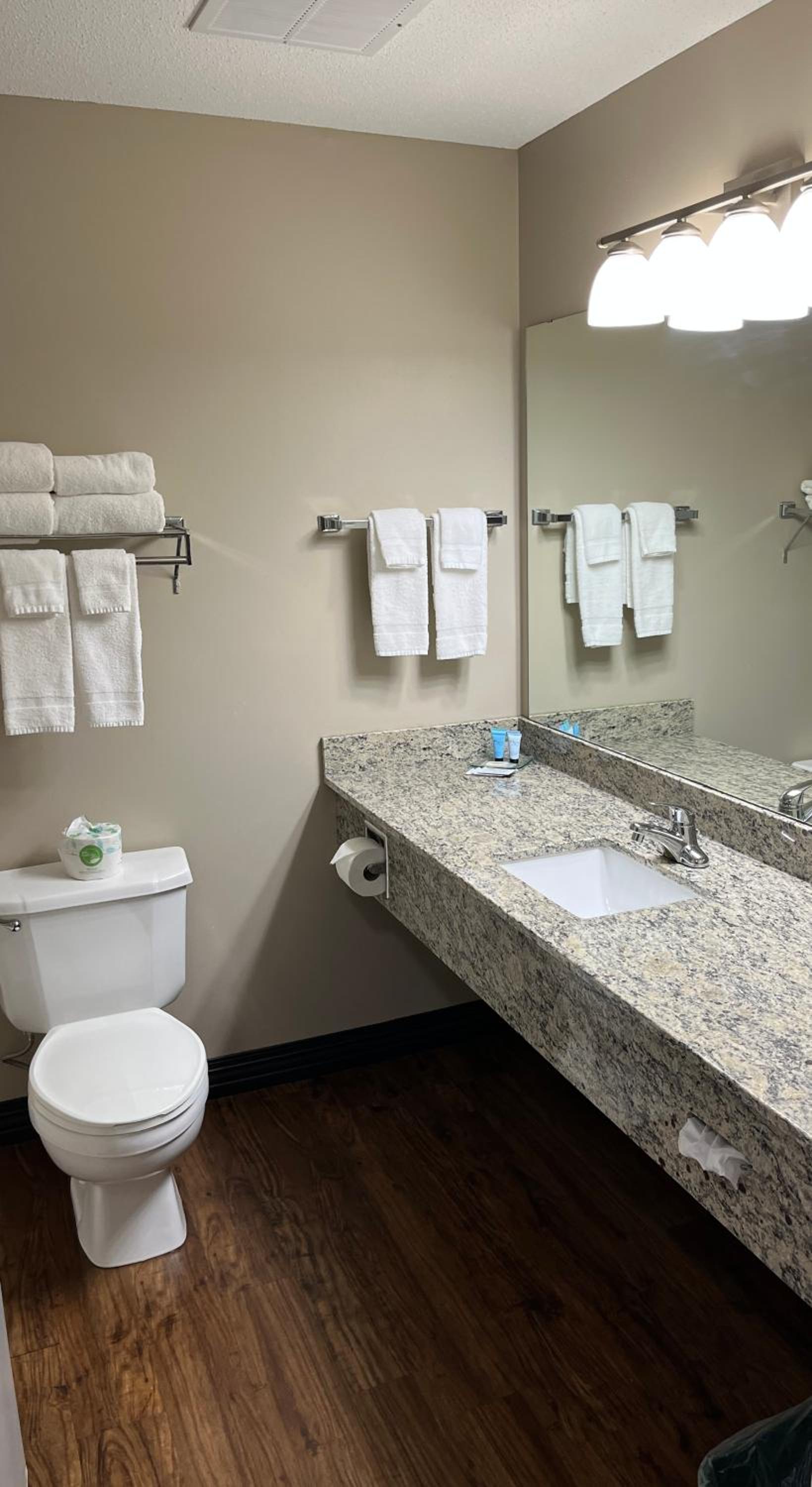 Deluxe King Suite - Non-Smoking - Photo 3