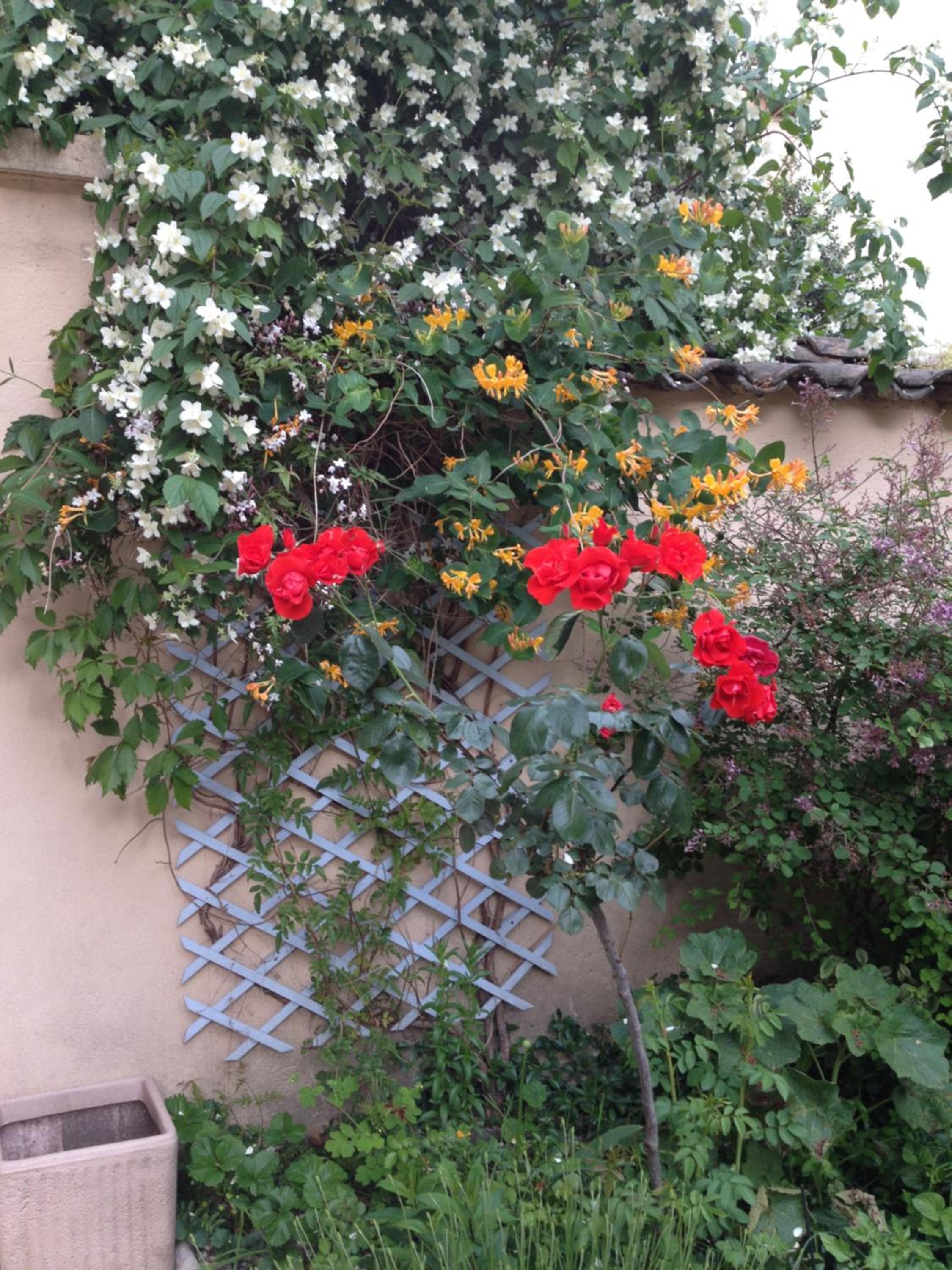 Apartment - Photo 25