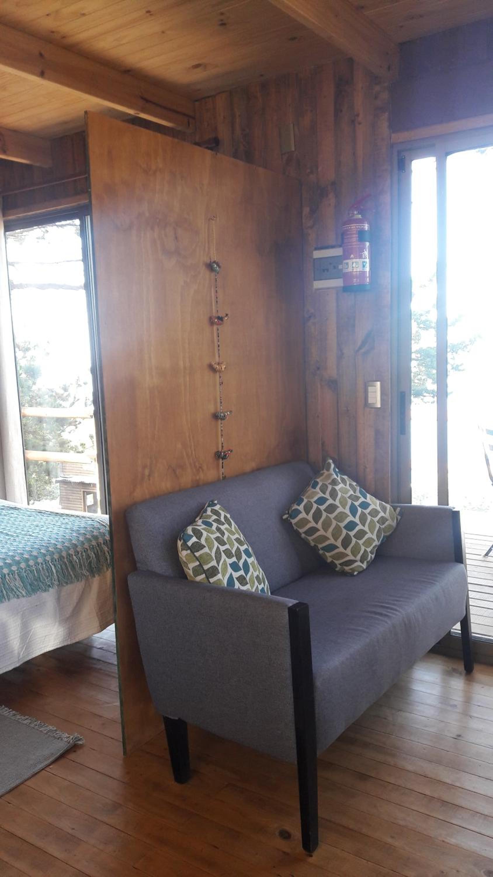 Studio with Terrace photo 1