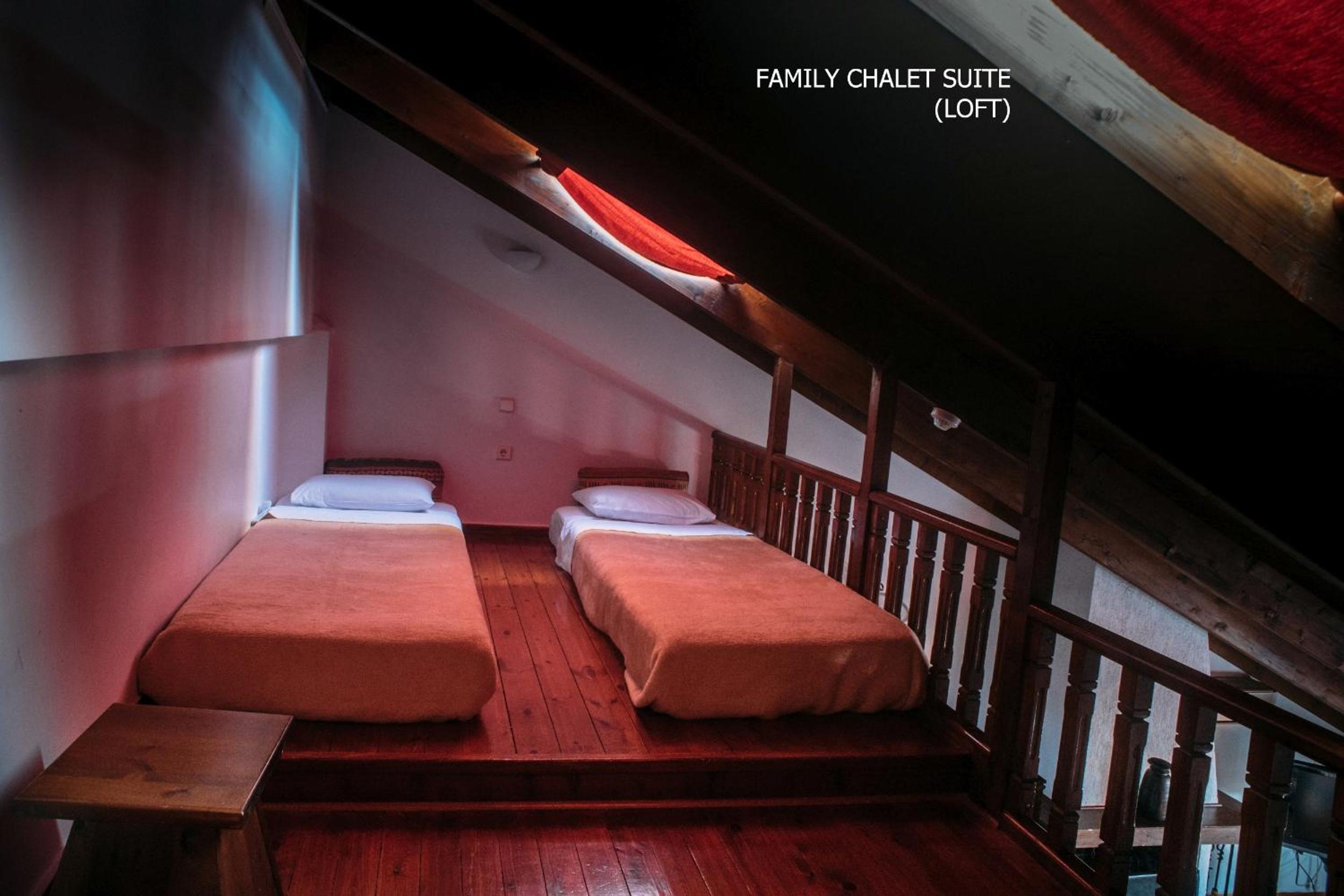 Family Chalet - Photo 16