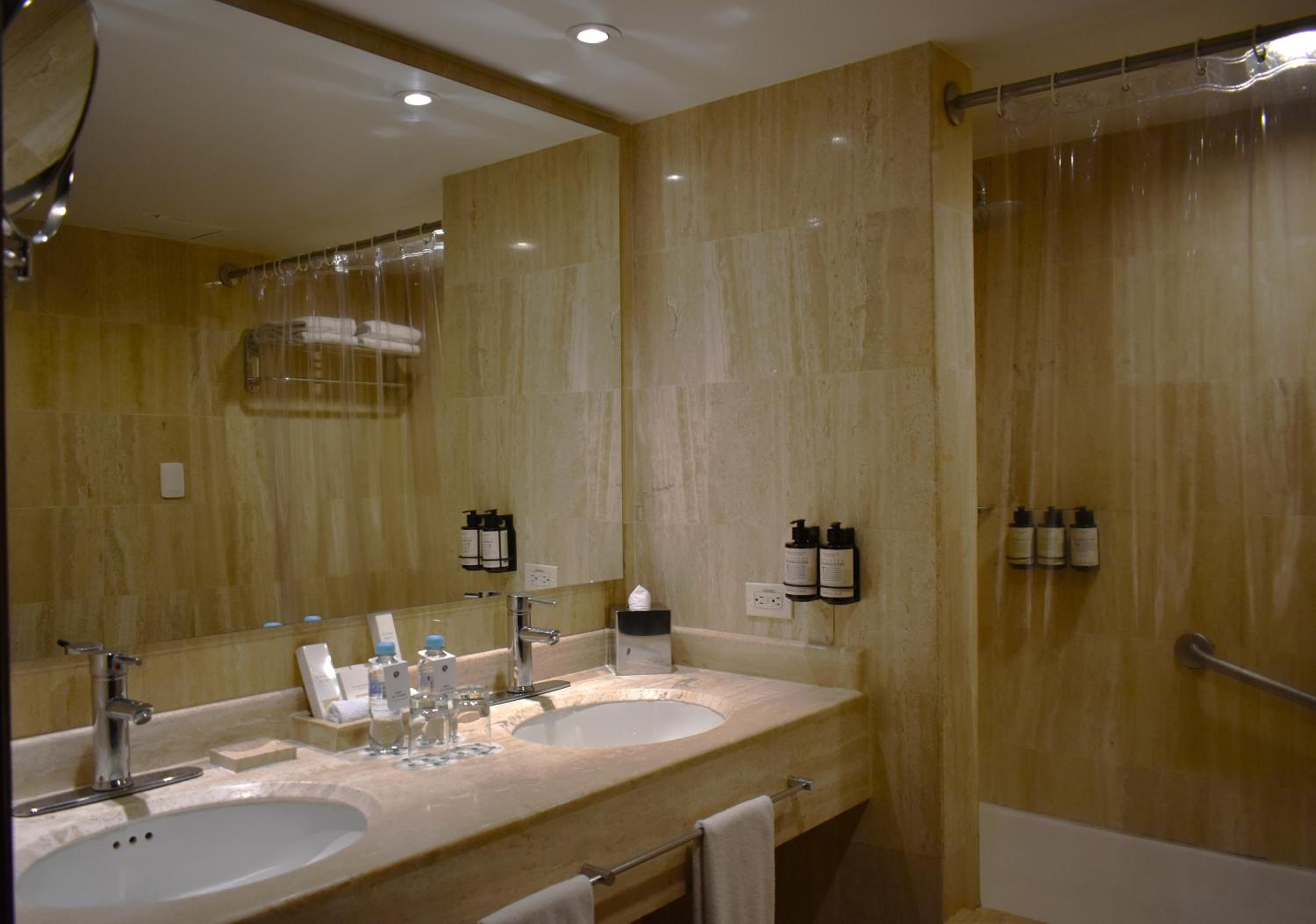 One-Bedroom Suite - Photo 4