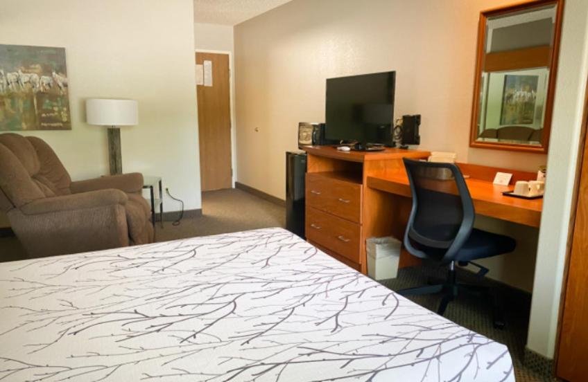 Queen Suite photo 1
